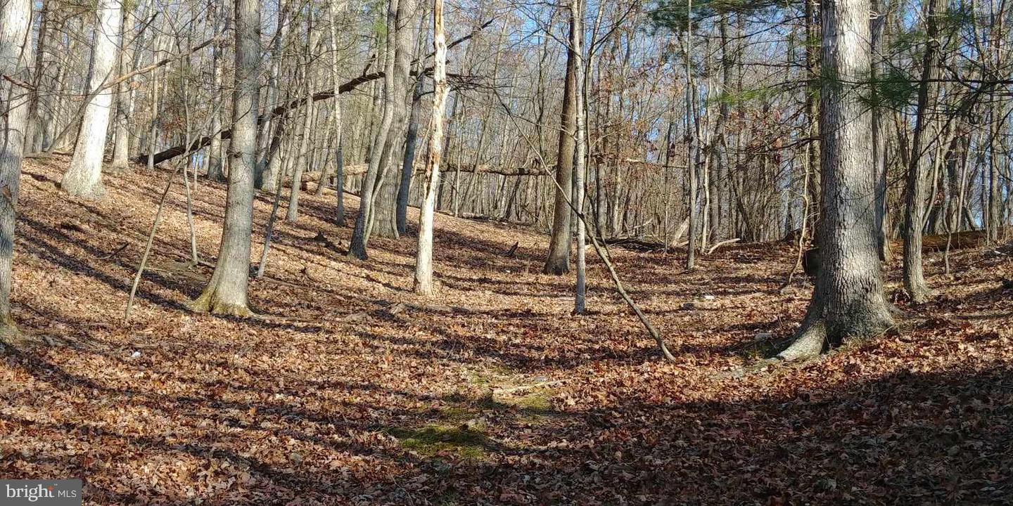 Pecktonville Rd