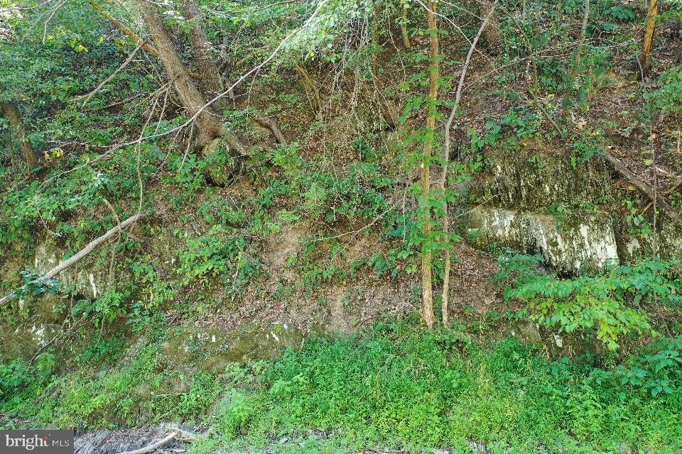 Pecktonville Rd