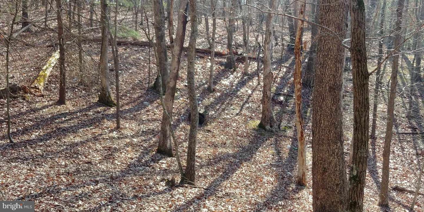 Pecktonville Rd