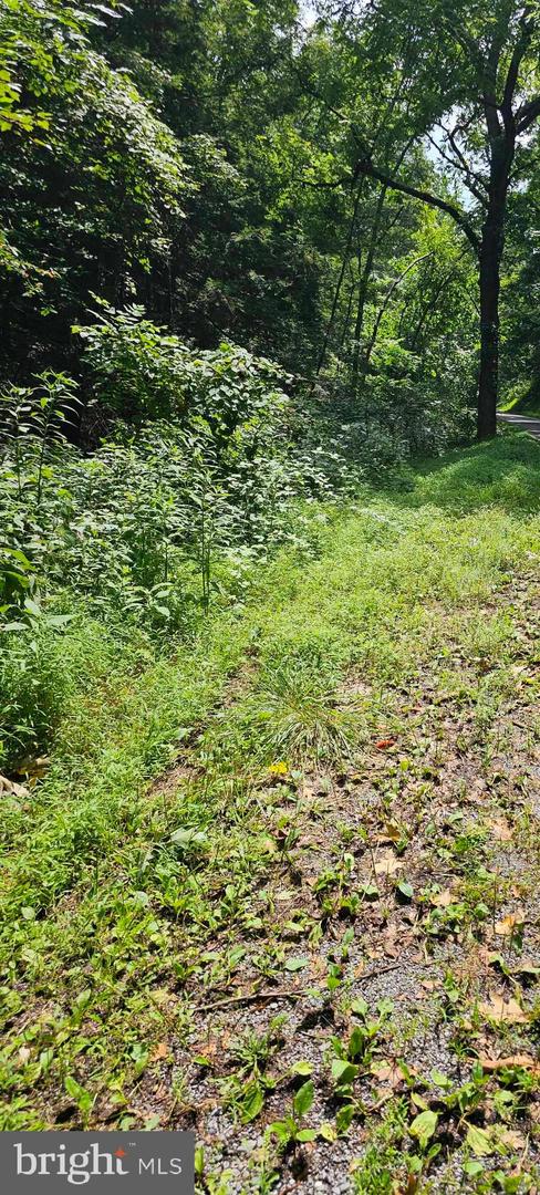Pecktonville Rd