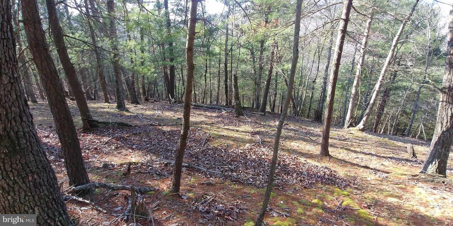 Pecktonville Rd