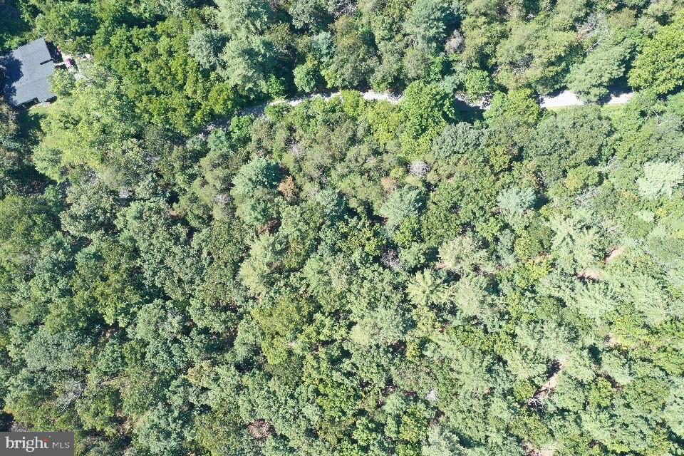 Pecktonville Rd