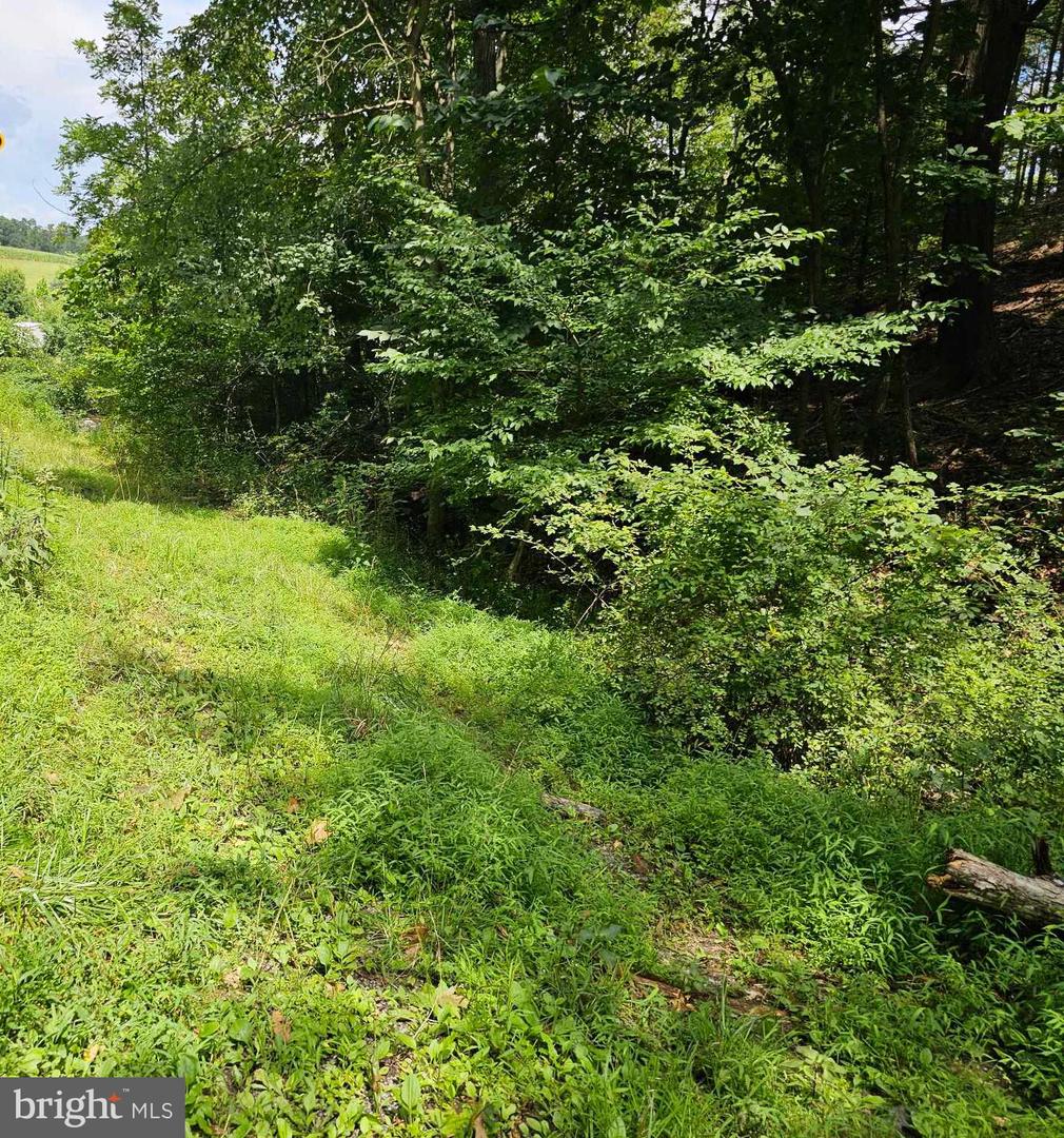 Pecktonville Rd