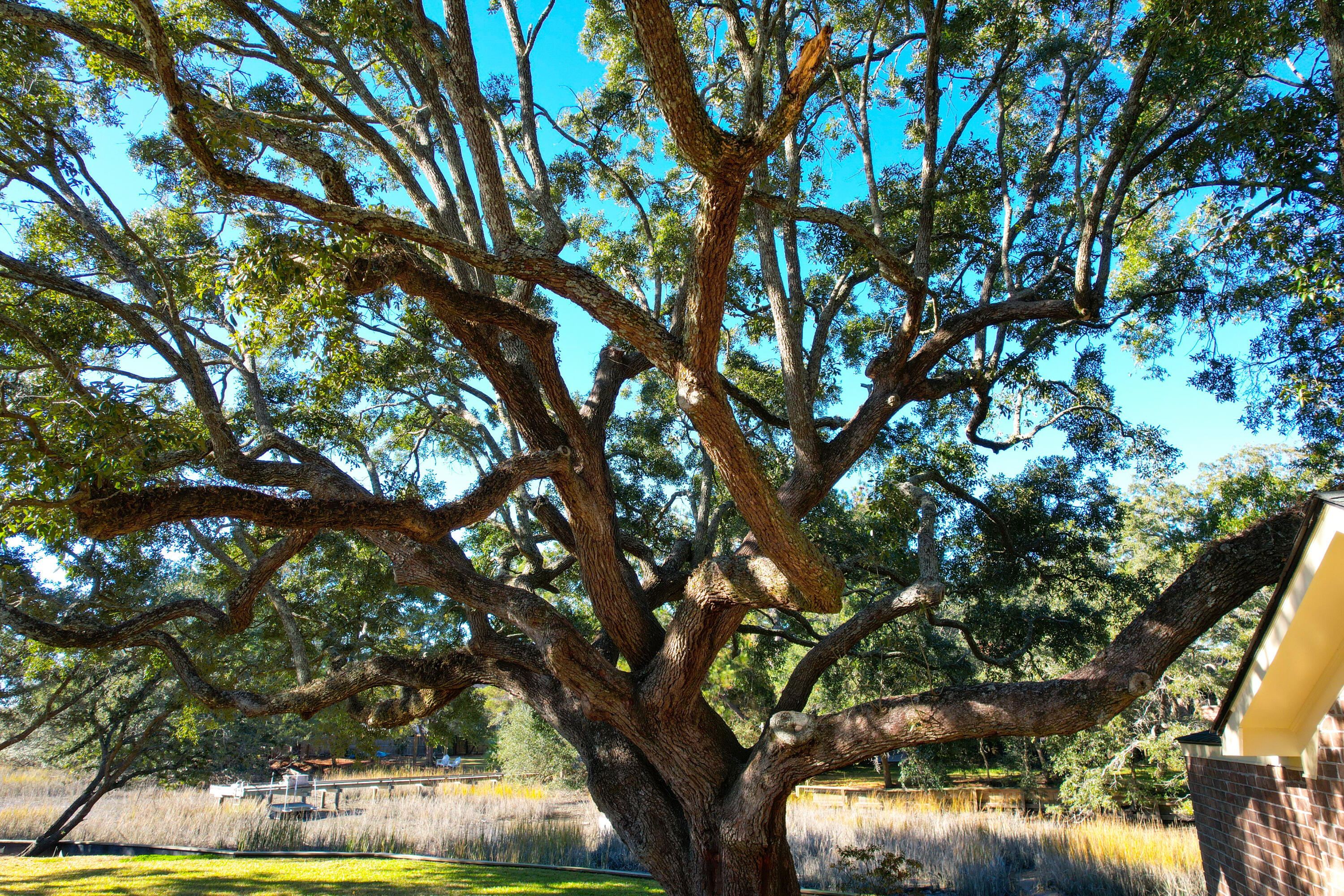 980 Fort Sumter Drive