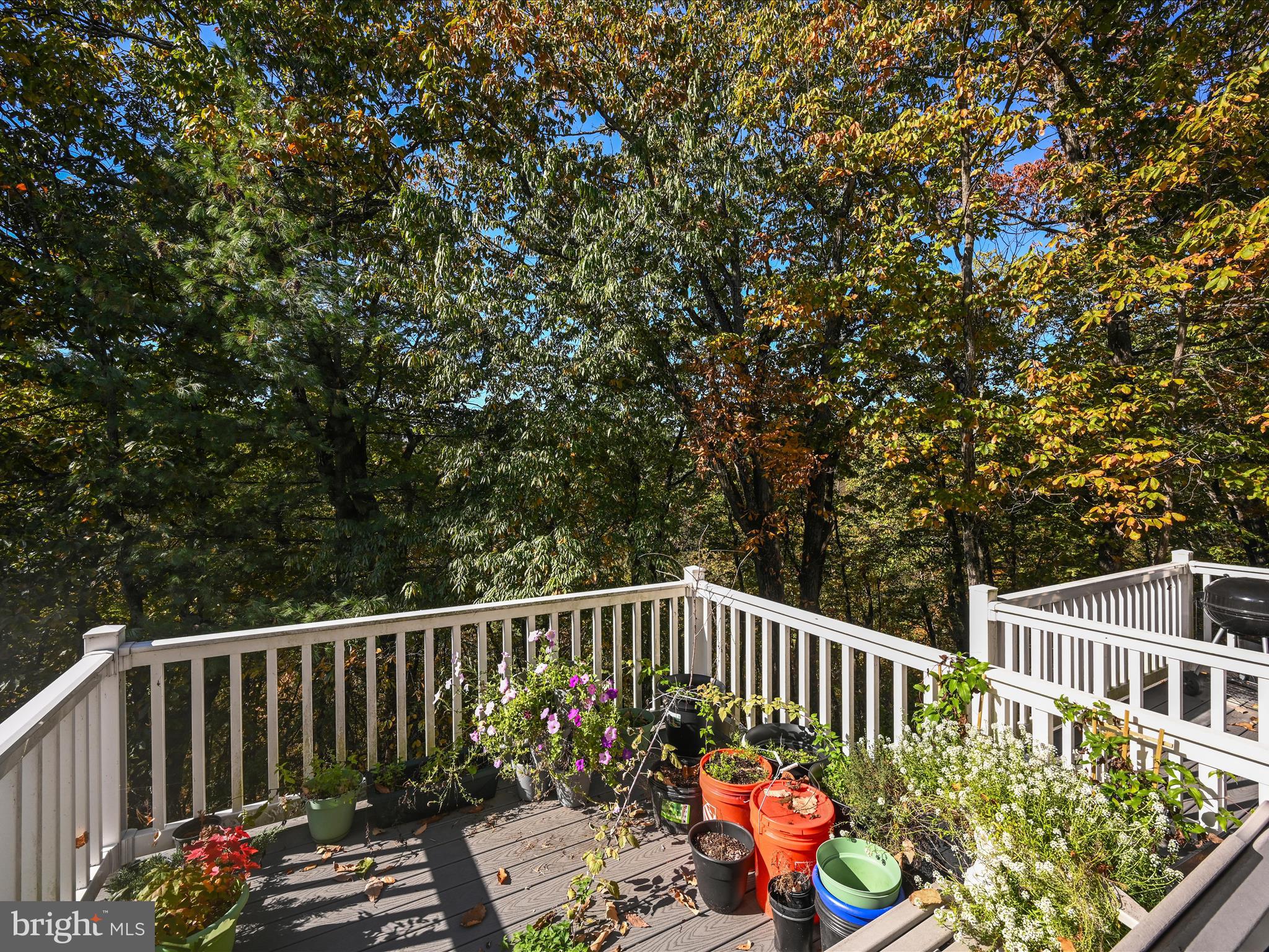 333 BRIAR RIDGE CIRCLE