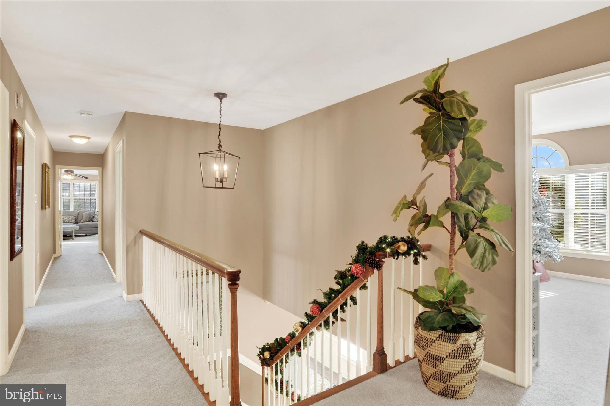 1803 SILVER PINE CIRCLE