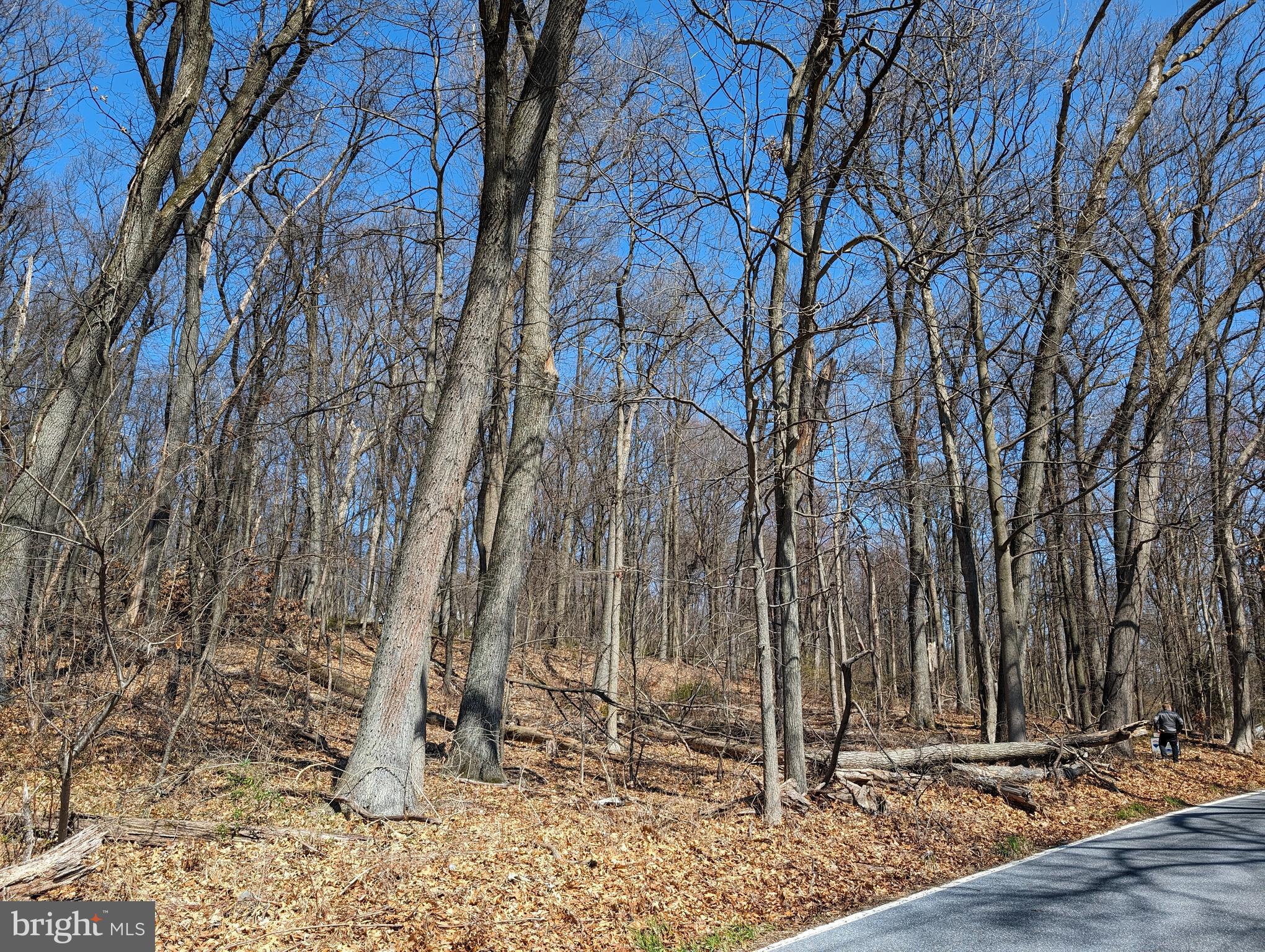 Lots 1 & 2 Hilltop Rd