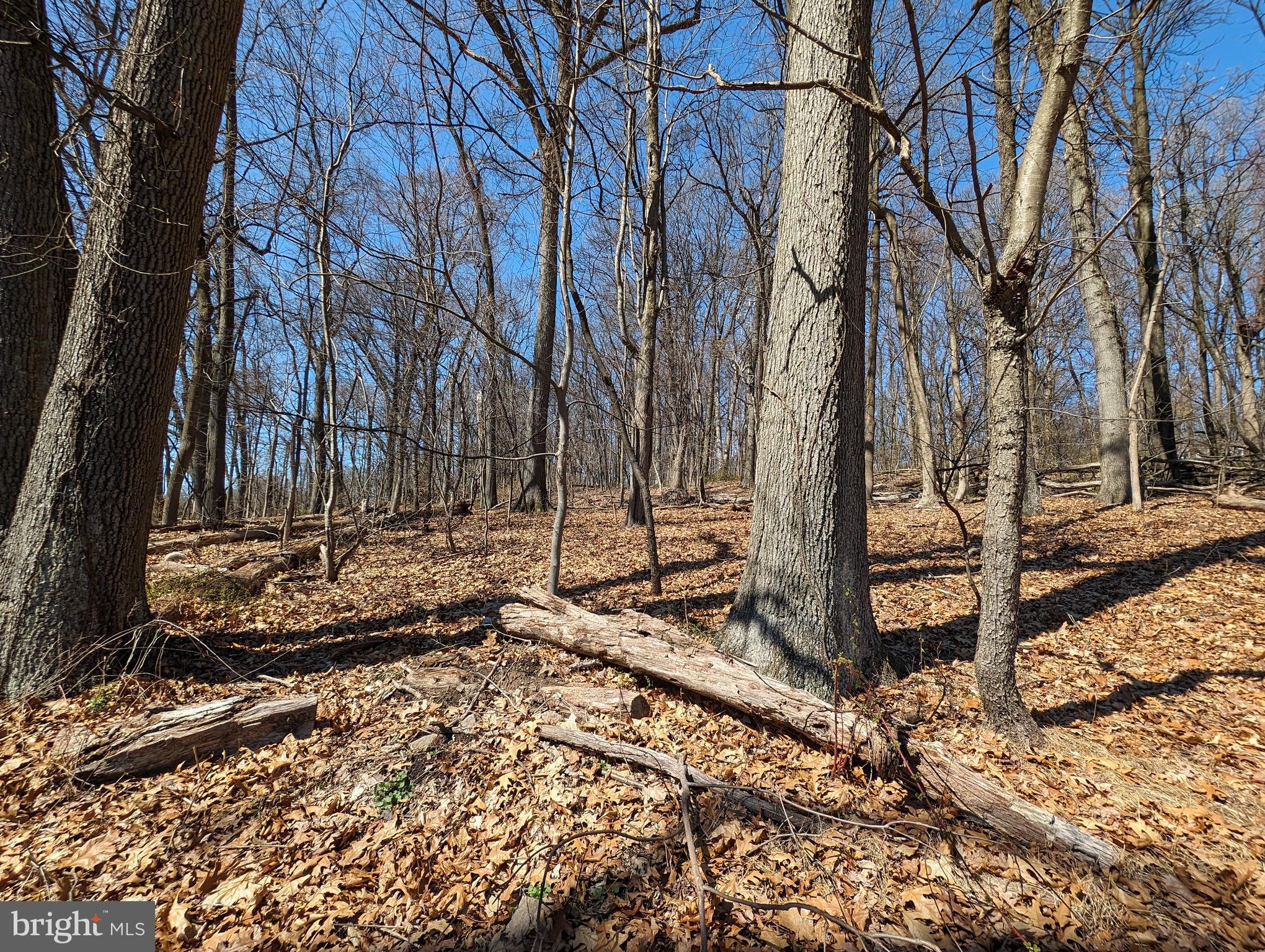 Lots 1 & 2 Hilltop Rd