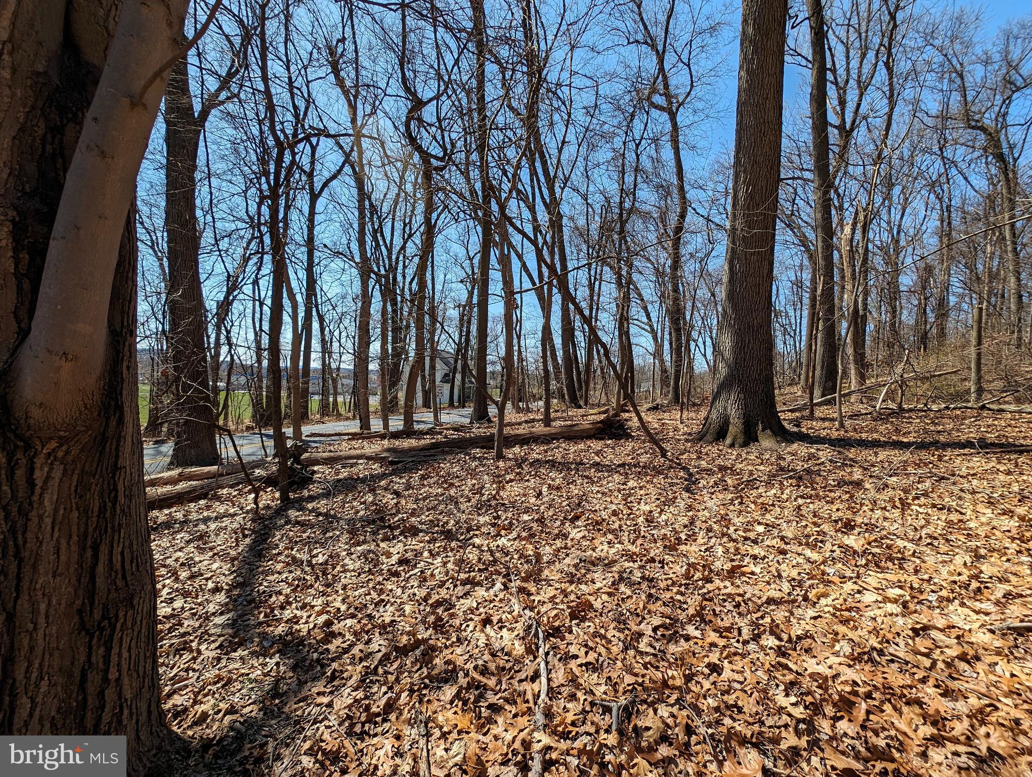 Lots 1 & 2 Hilltop Rd