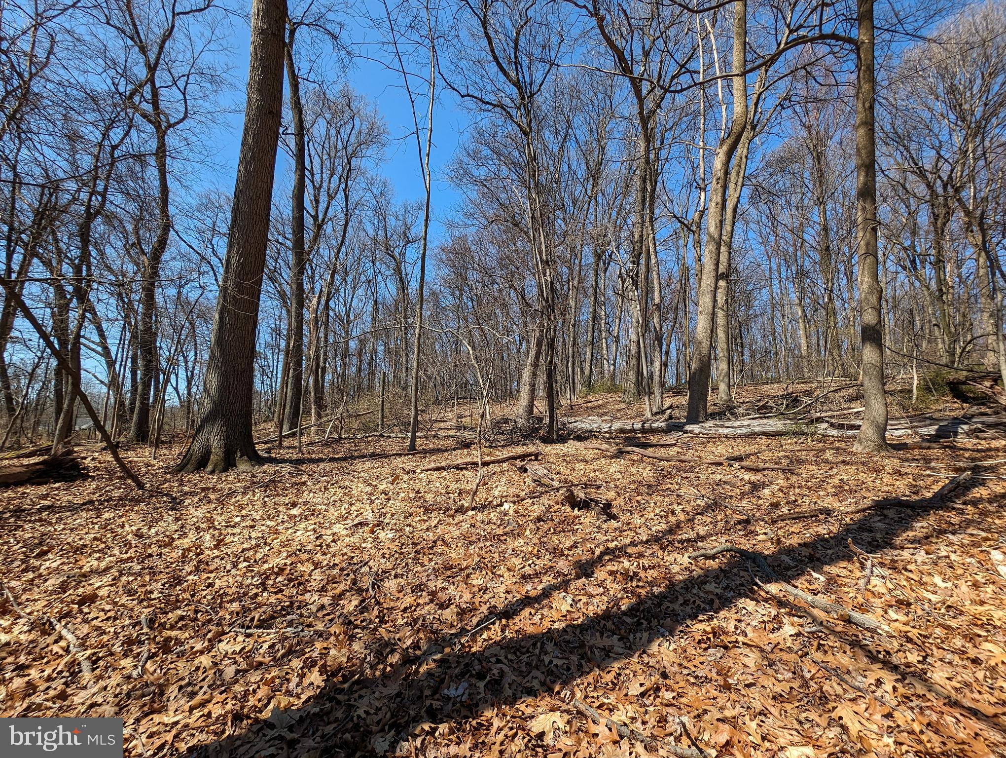 Lots 1 & 2 Hilltop Rd