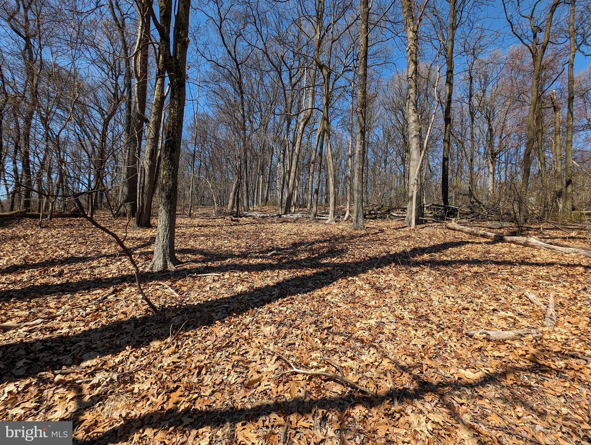 Lots 1 & 2 Hilltop Rd