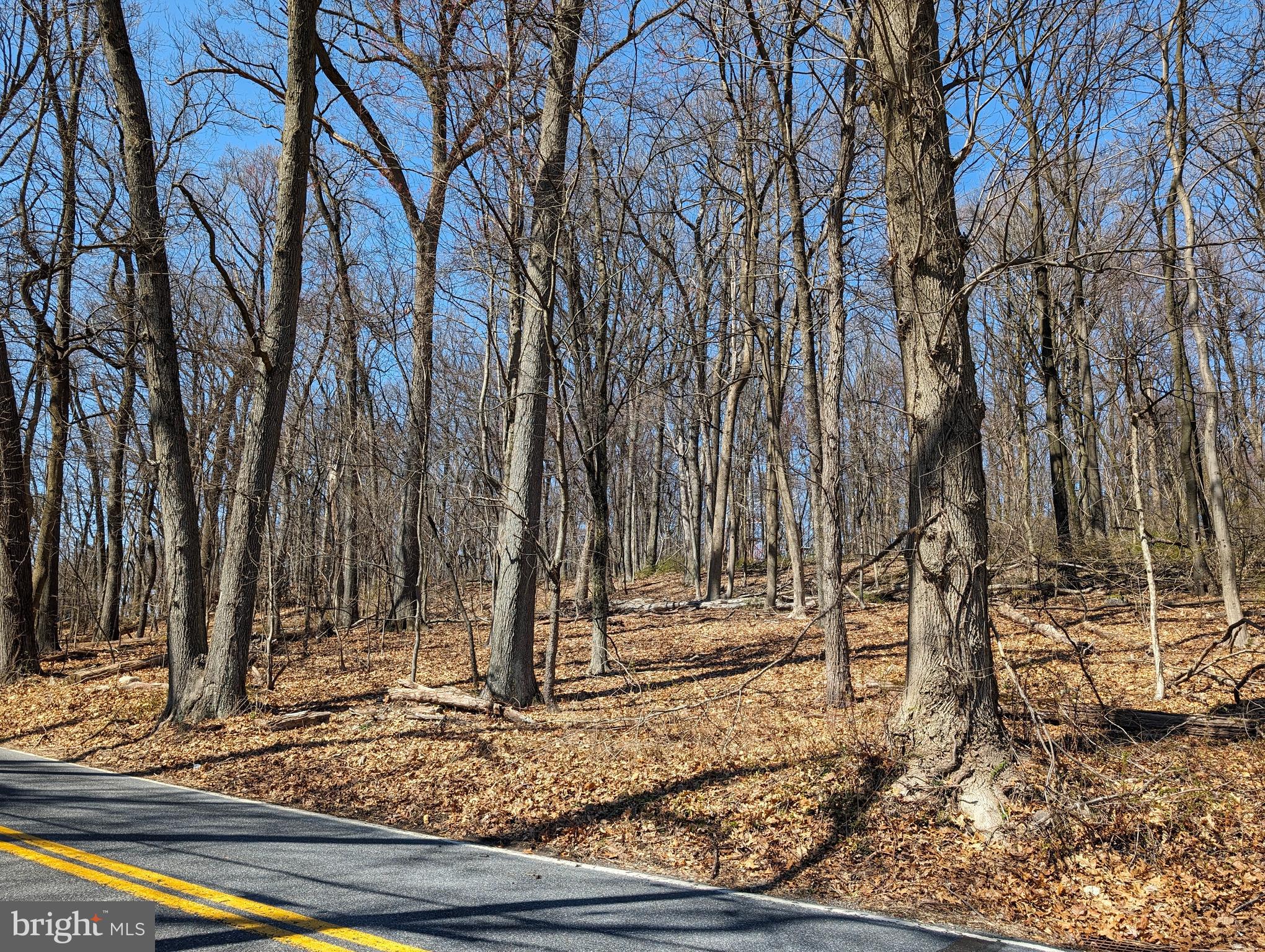 Lots 1 & 2 Hilltop Rd