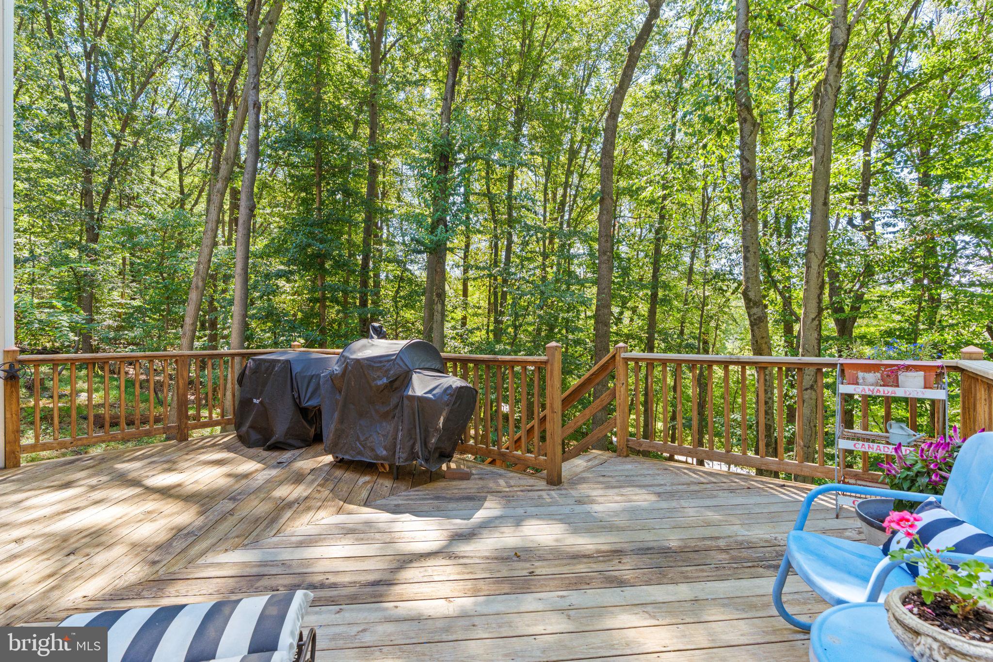 1155 GREENWOOD DRIVE