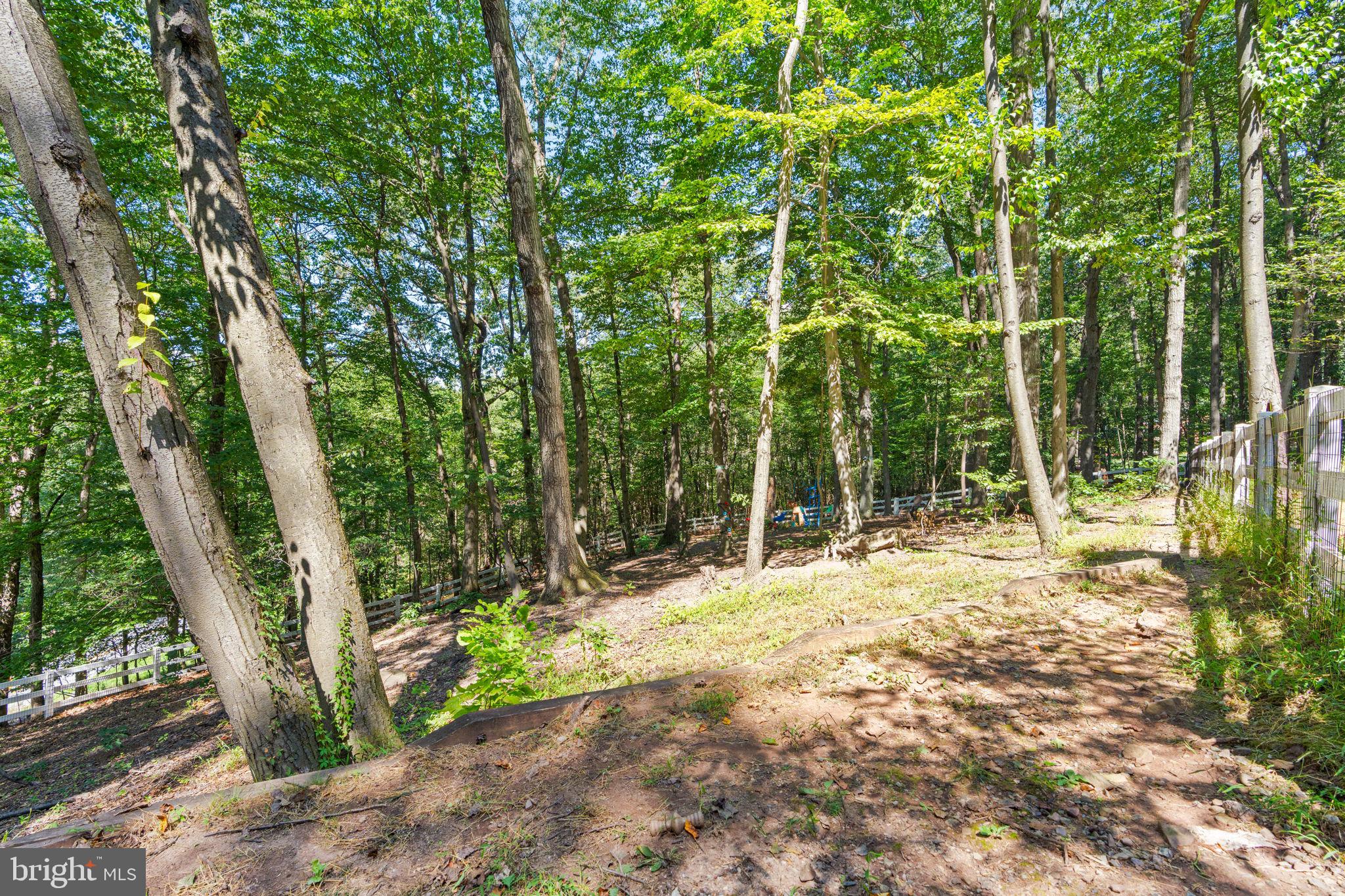 1155 GREENWOOD DRIVE