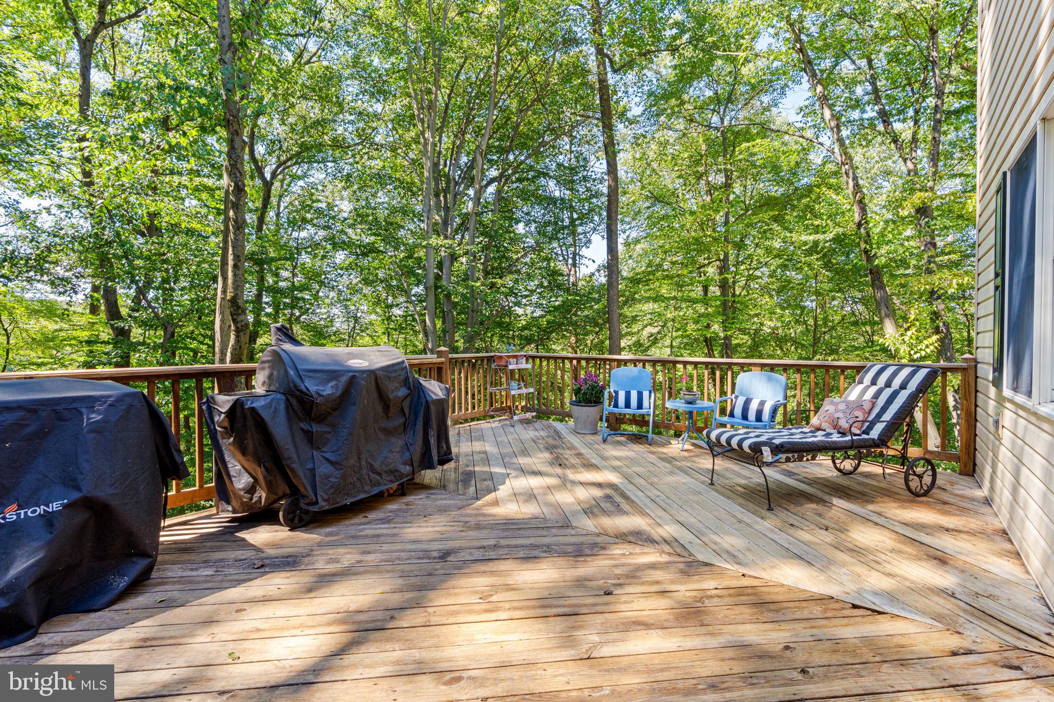 1155 GREENWOOD DRIVE