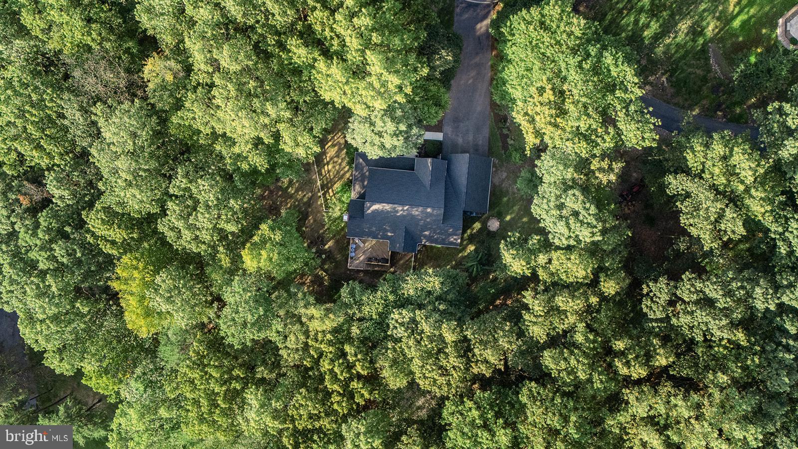 1155 GREENWOOD DRIVE