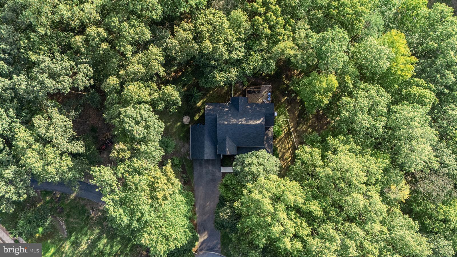 1155 GREENWOOD DRIVE