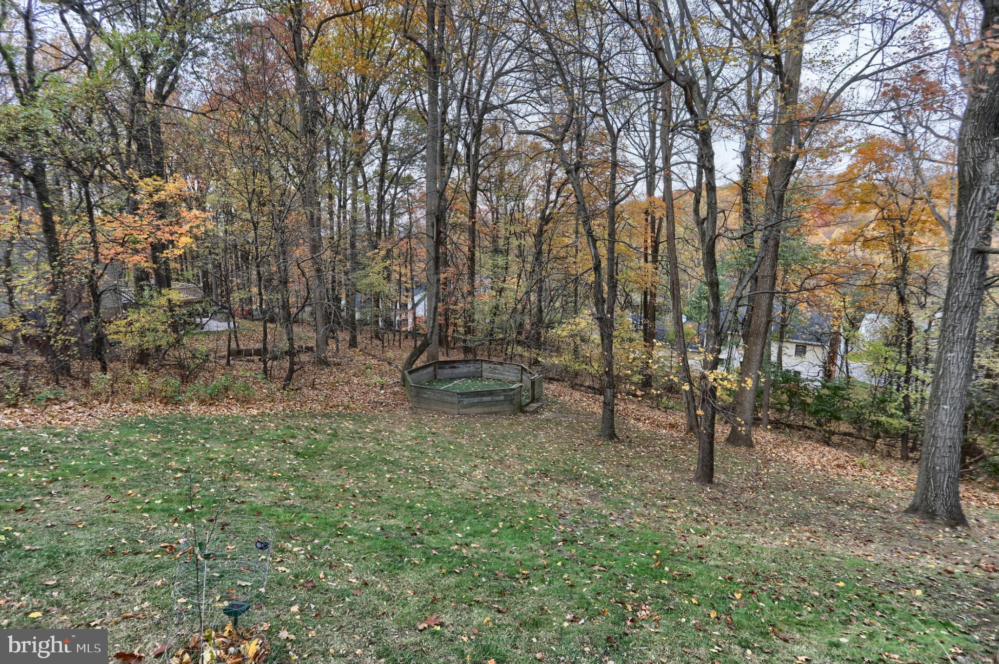 1609 SPRING HILL DRIVE