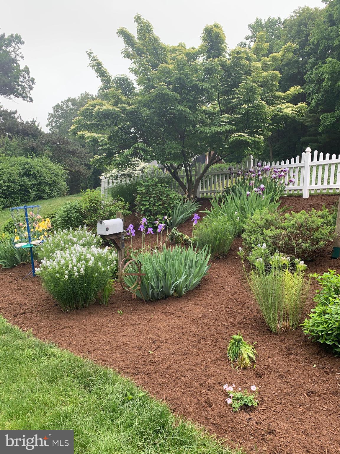 1609 SPRING HILL DRIVE