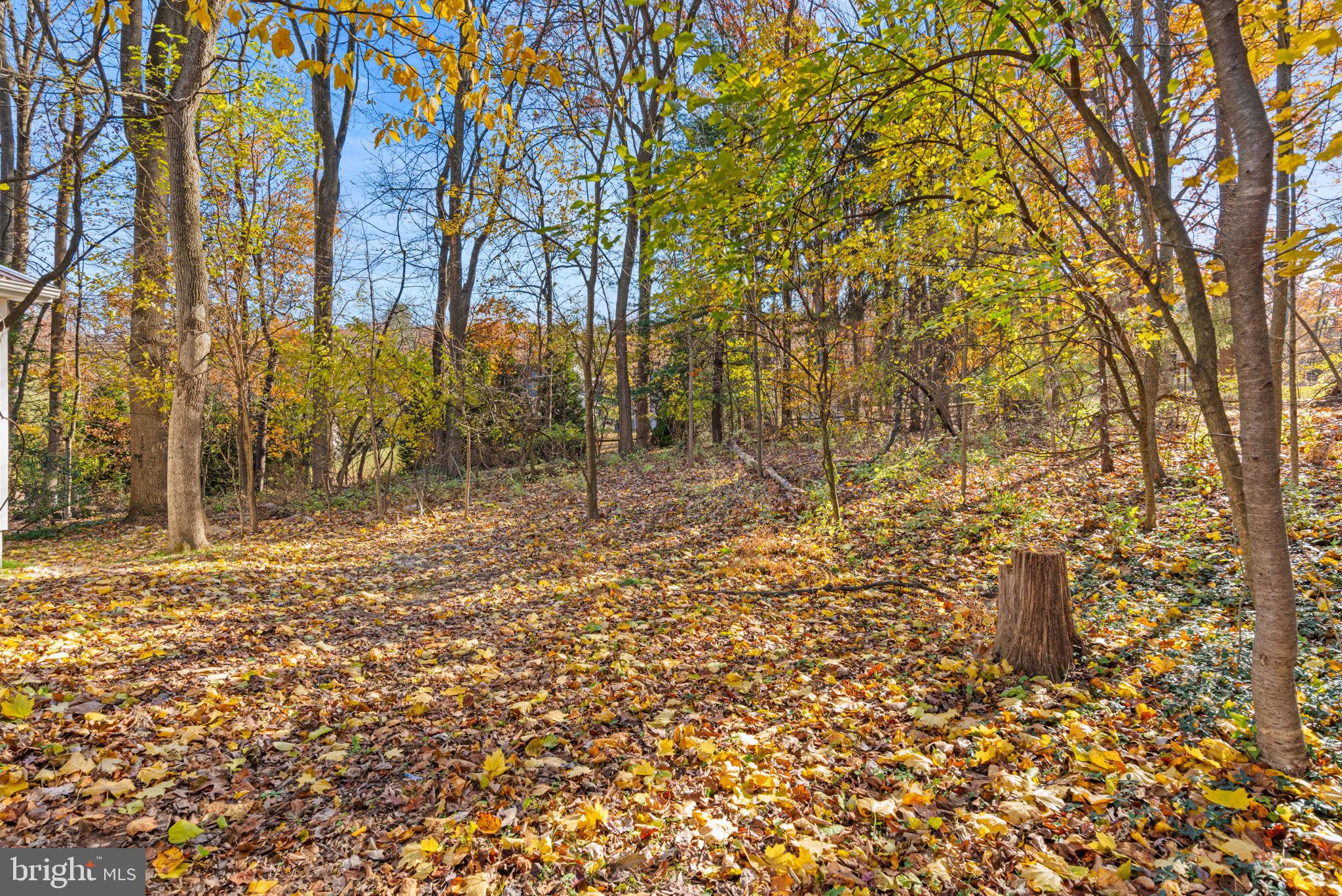 560 HILL CHURCH ROAD