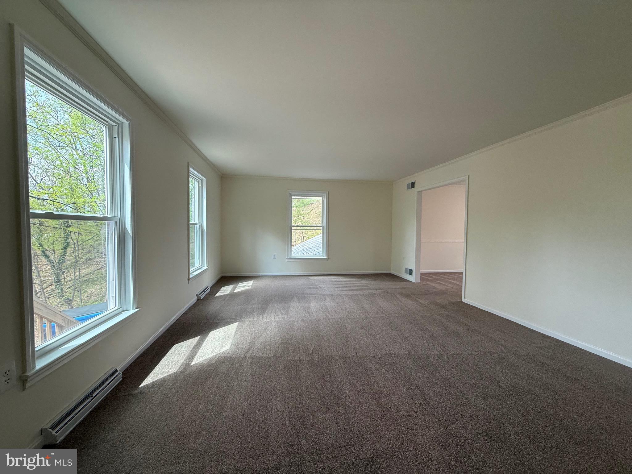 11 PINE TREE DRIVE