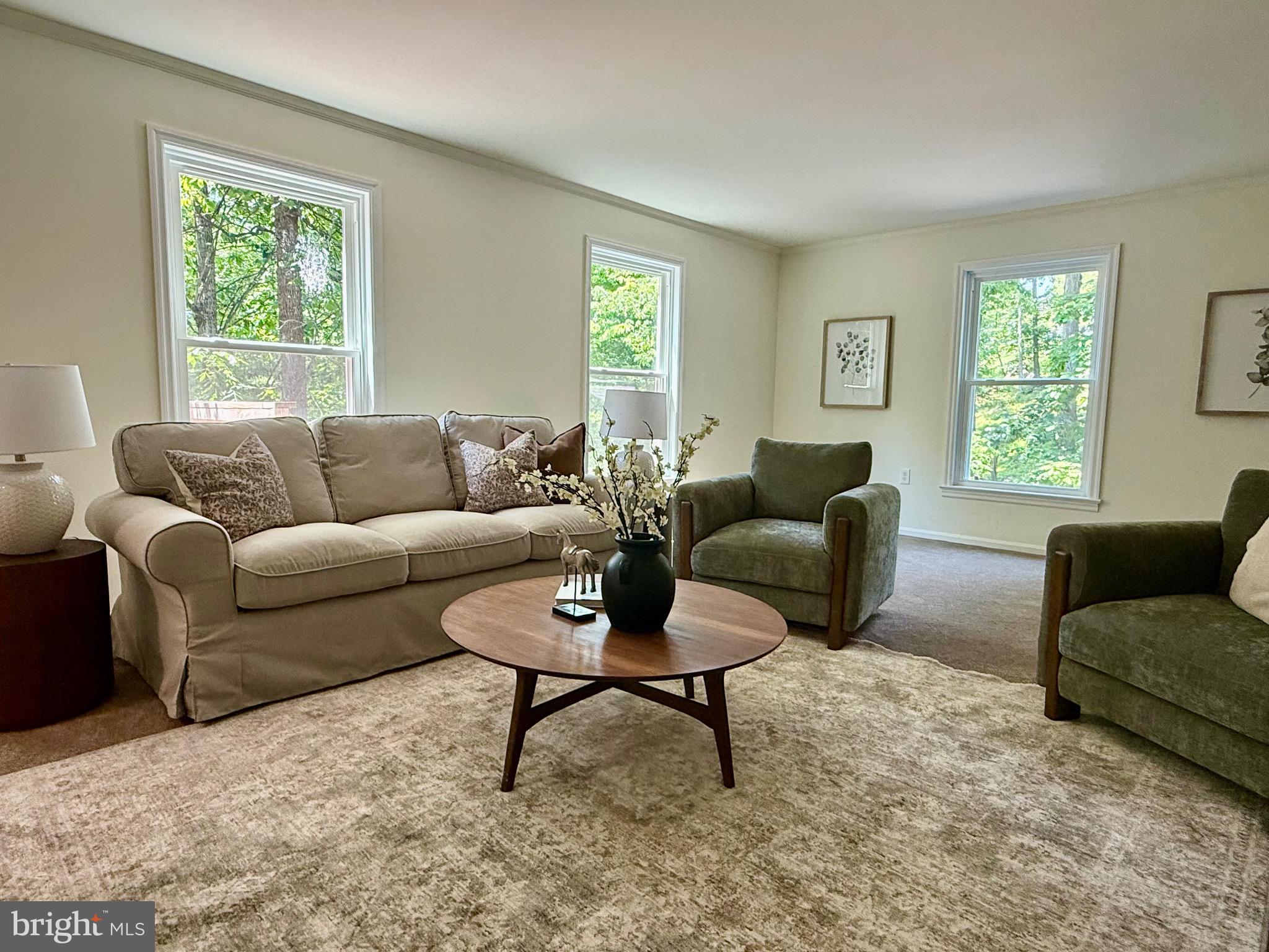 11 PINE TREE DRIVE