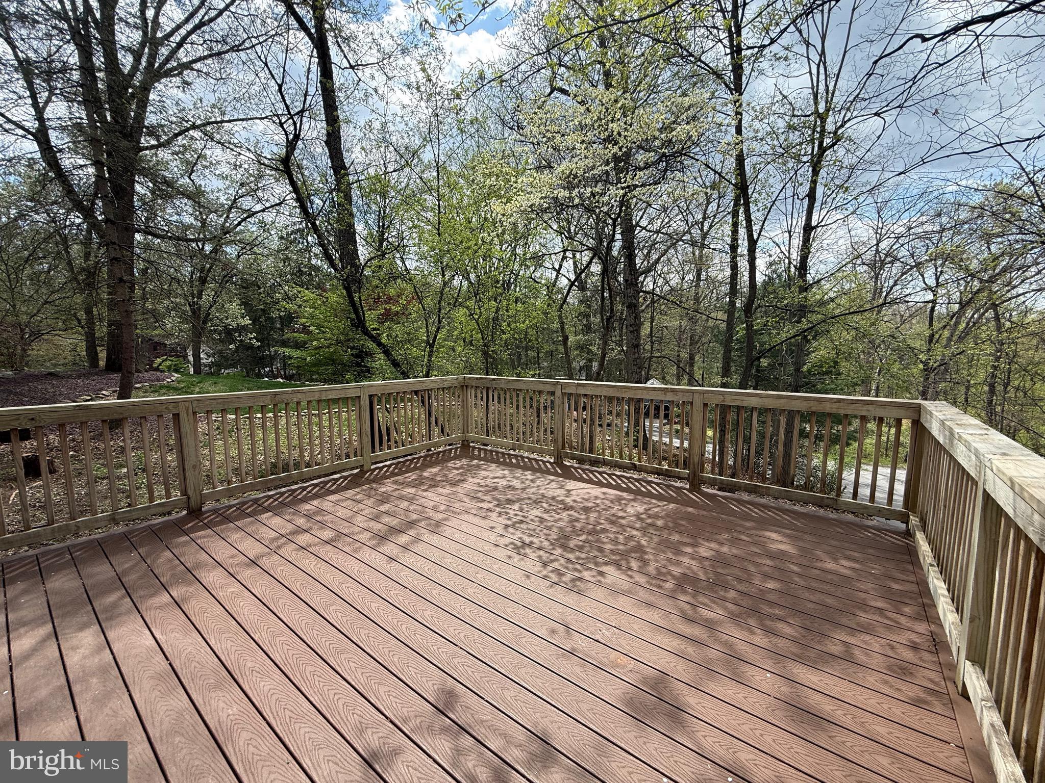 11 PINE TREE DRIVE