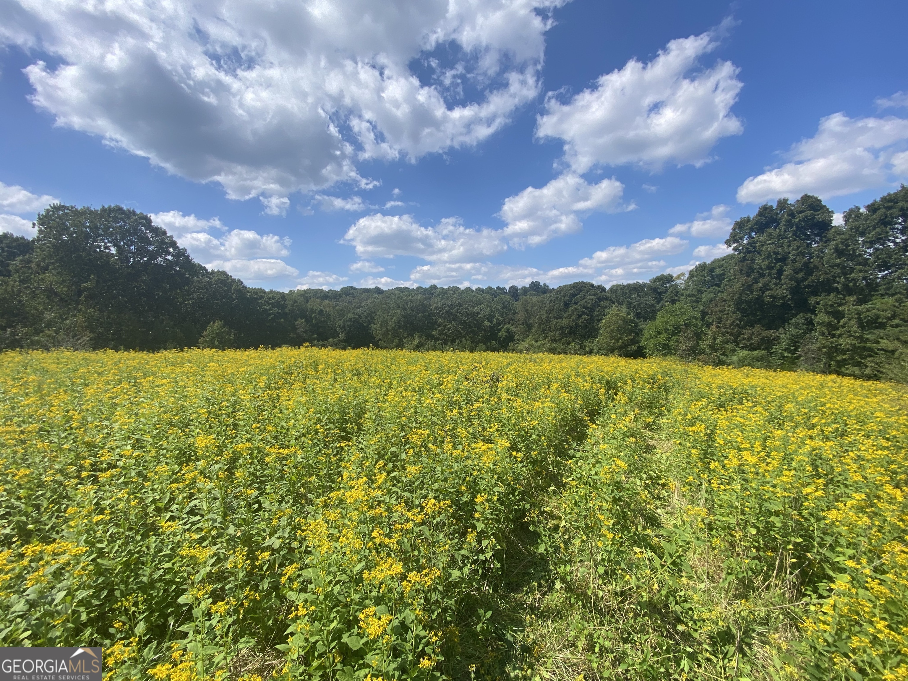 2822 Hwy 98