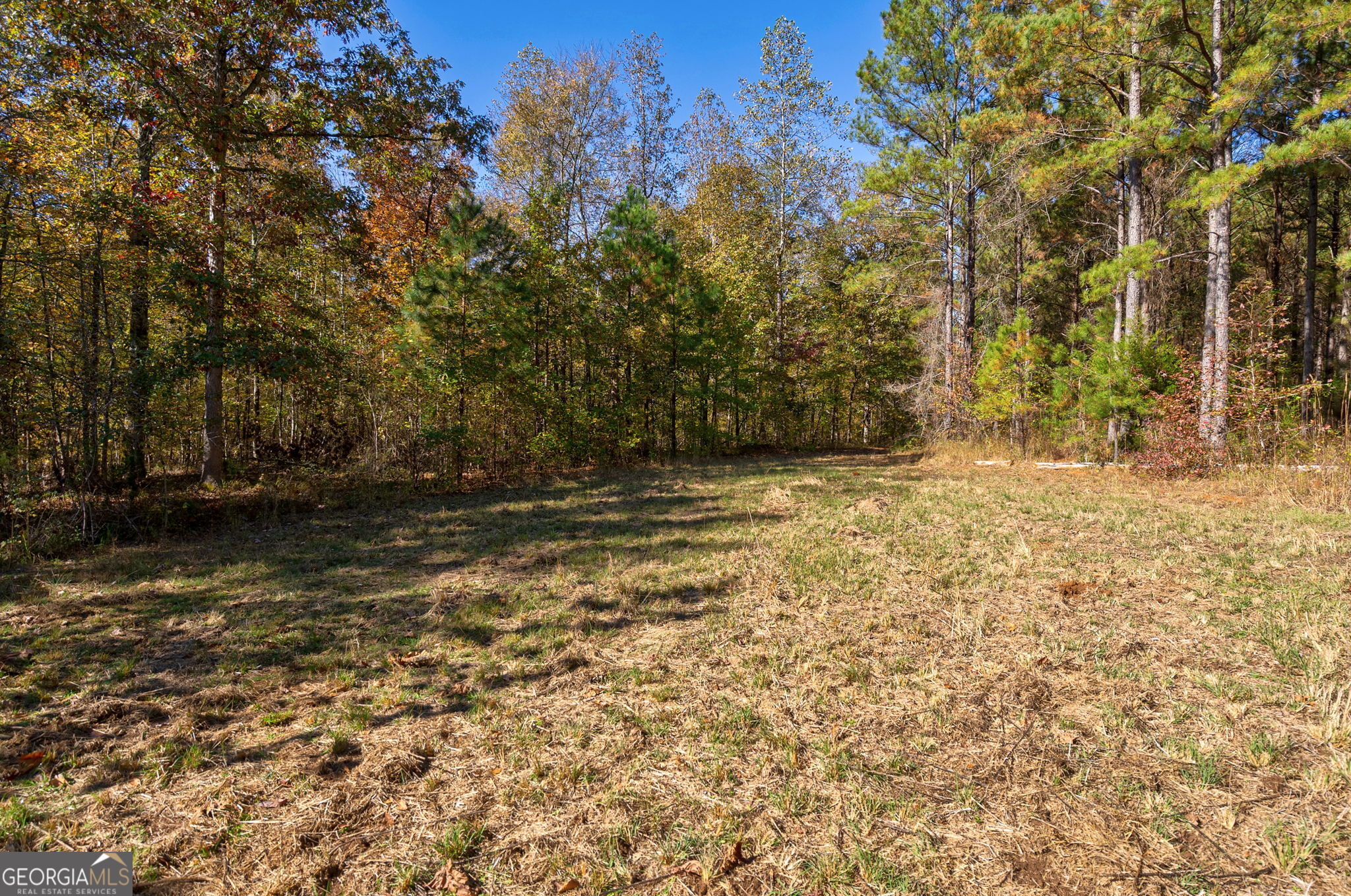 1321 Shepherd Road