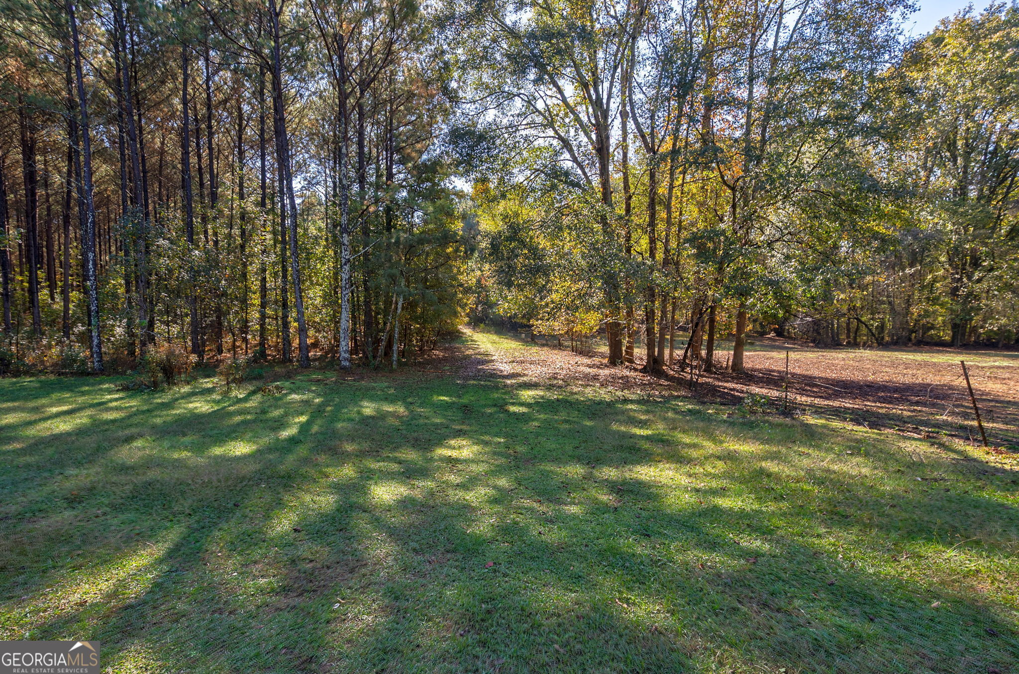 1321 Shepherd Road