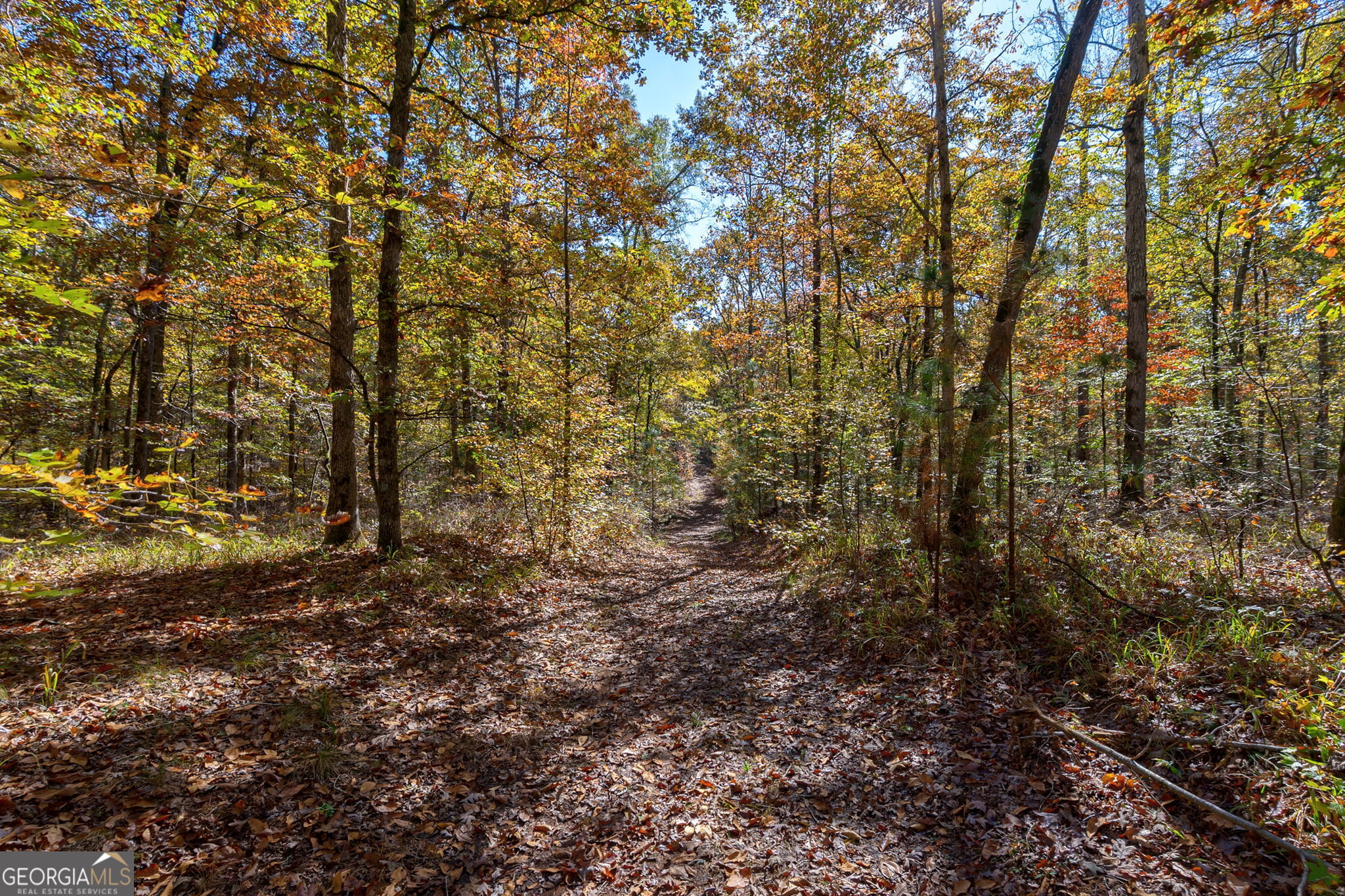 1321 Shepherd Road