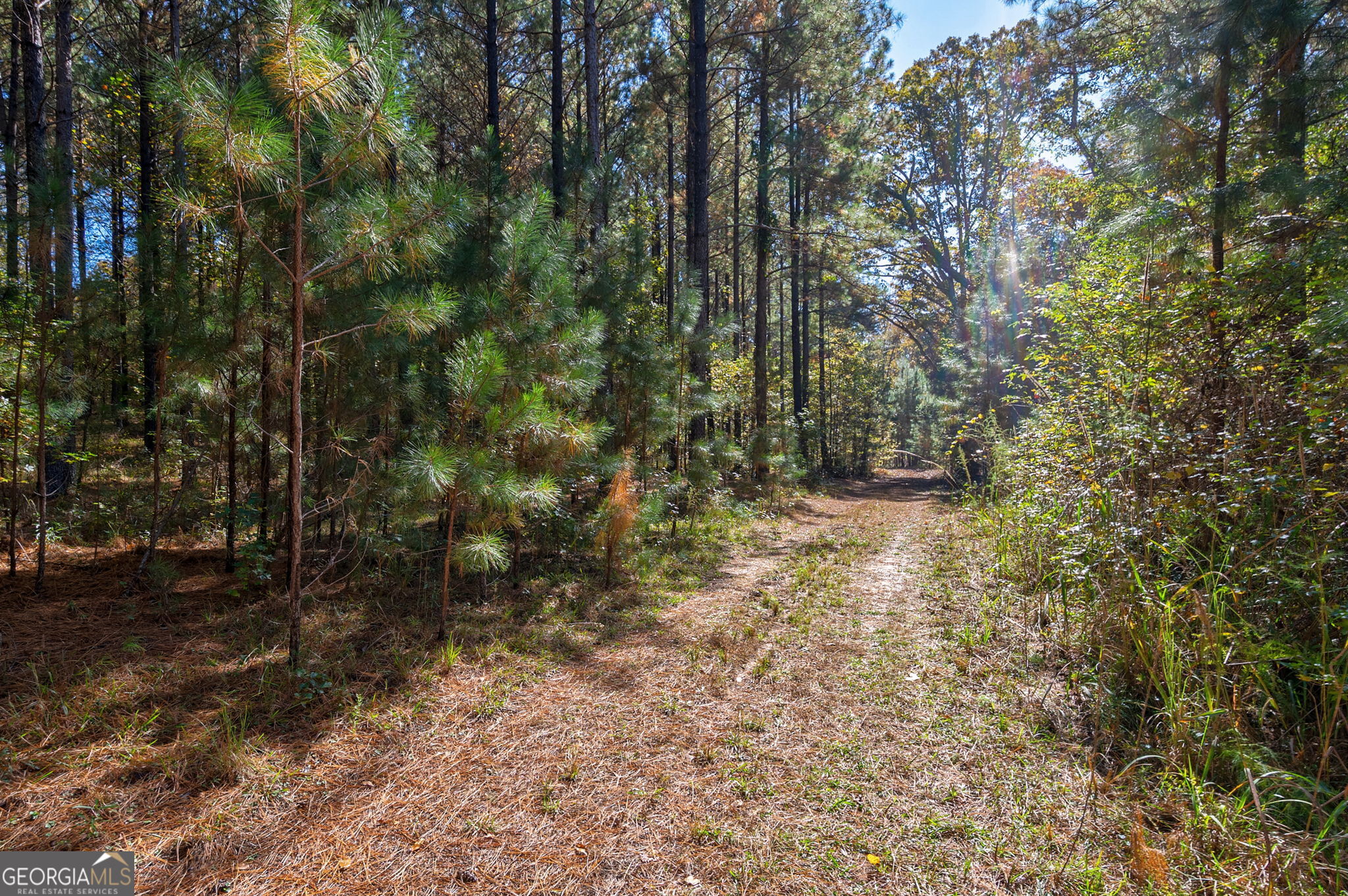1321 Shepherd Road