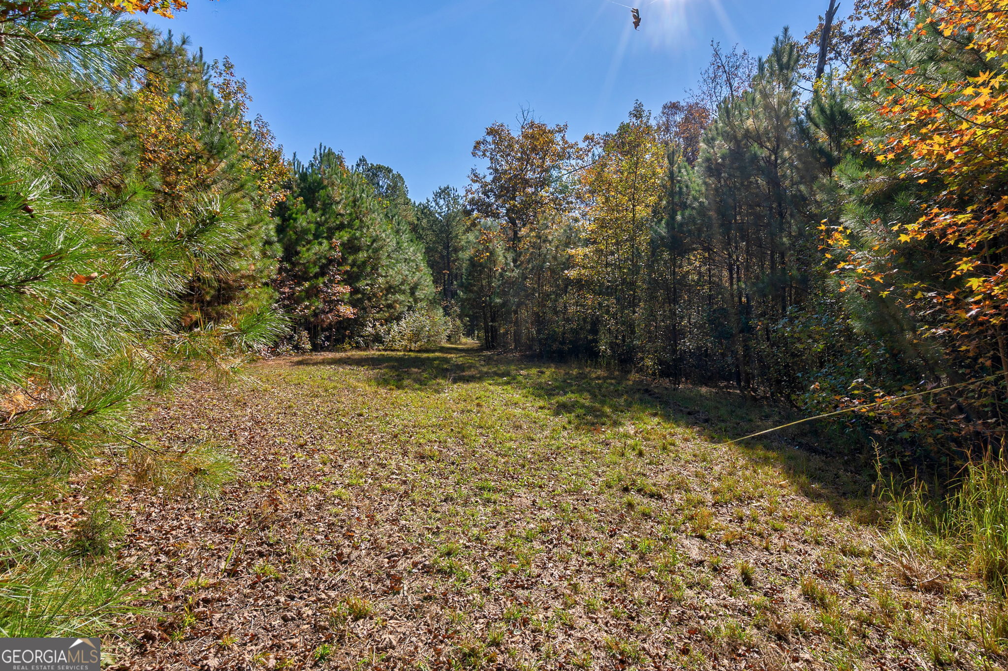 1321 Shepherd Road