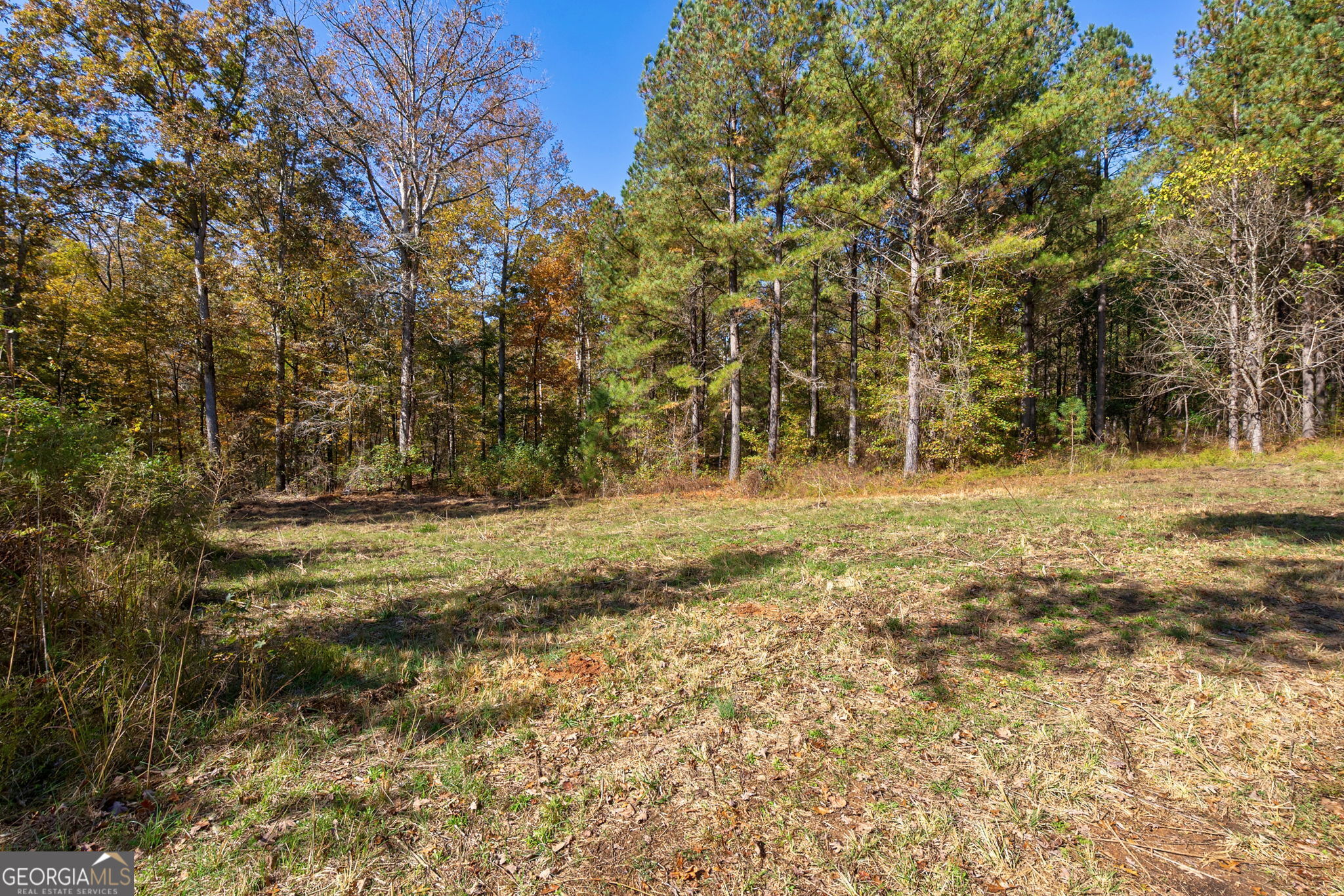 1321 Shepherd Road
