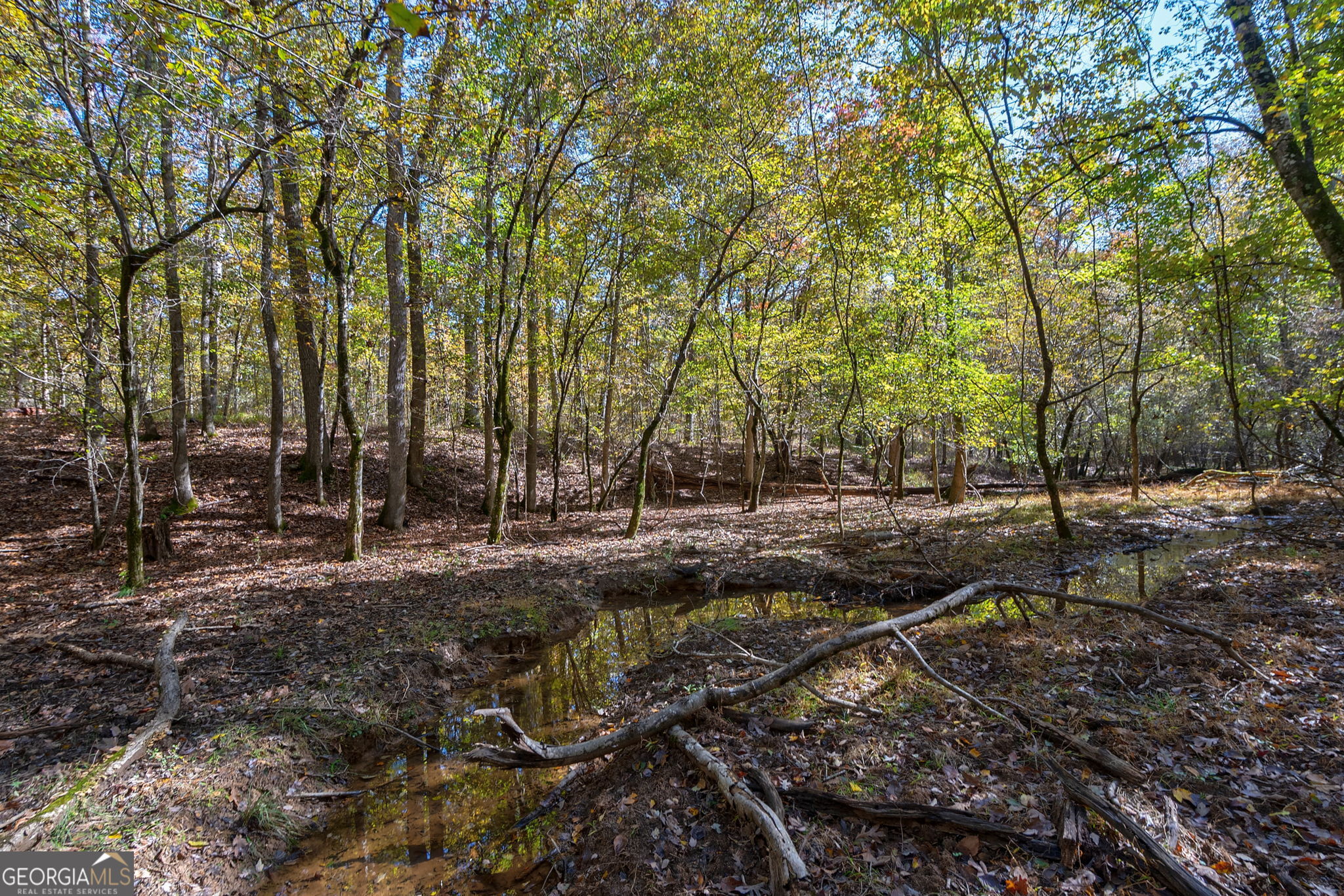 1321 Shepherd Road