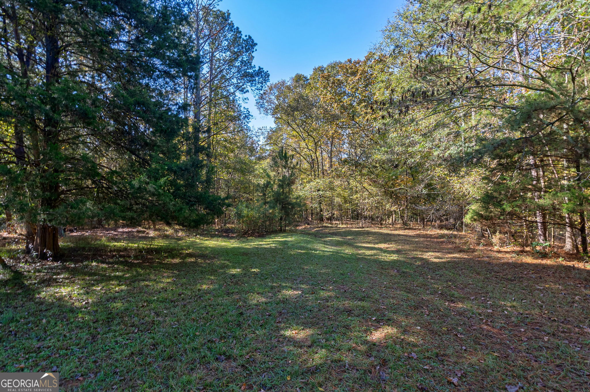 1321 Shepherd Road