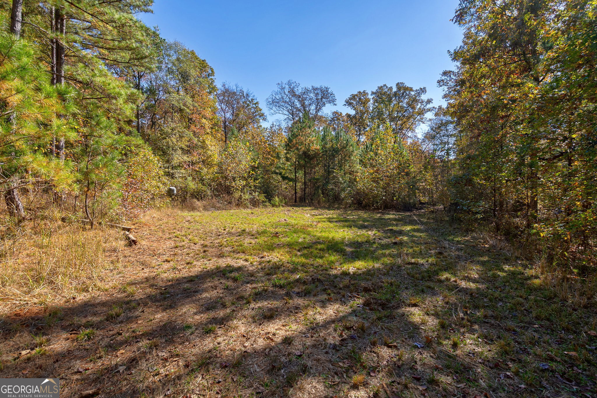 1321 Shepherd Road