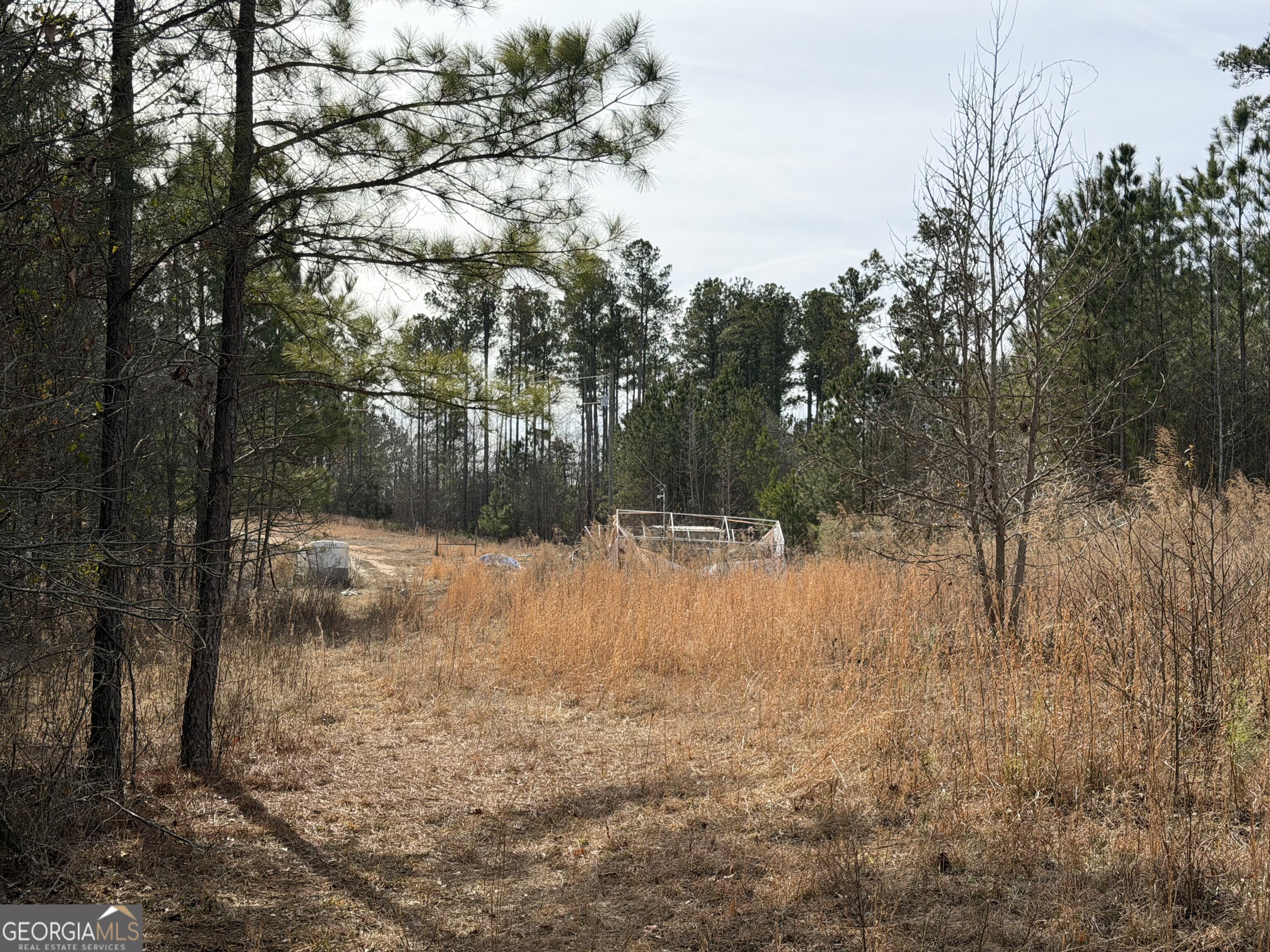 1142 Whiteside Drive