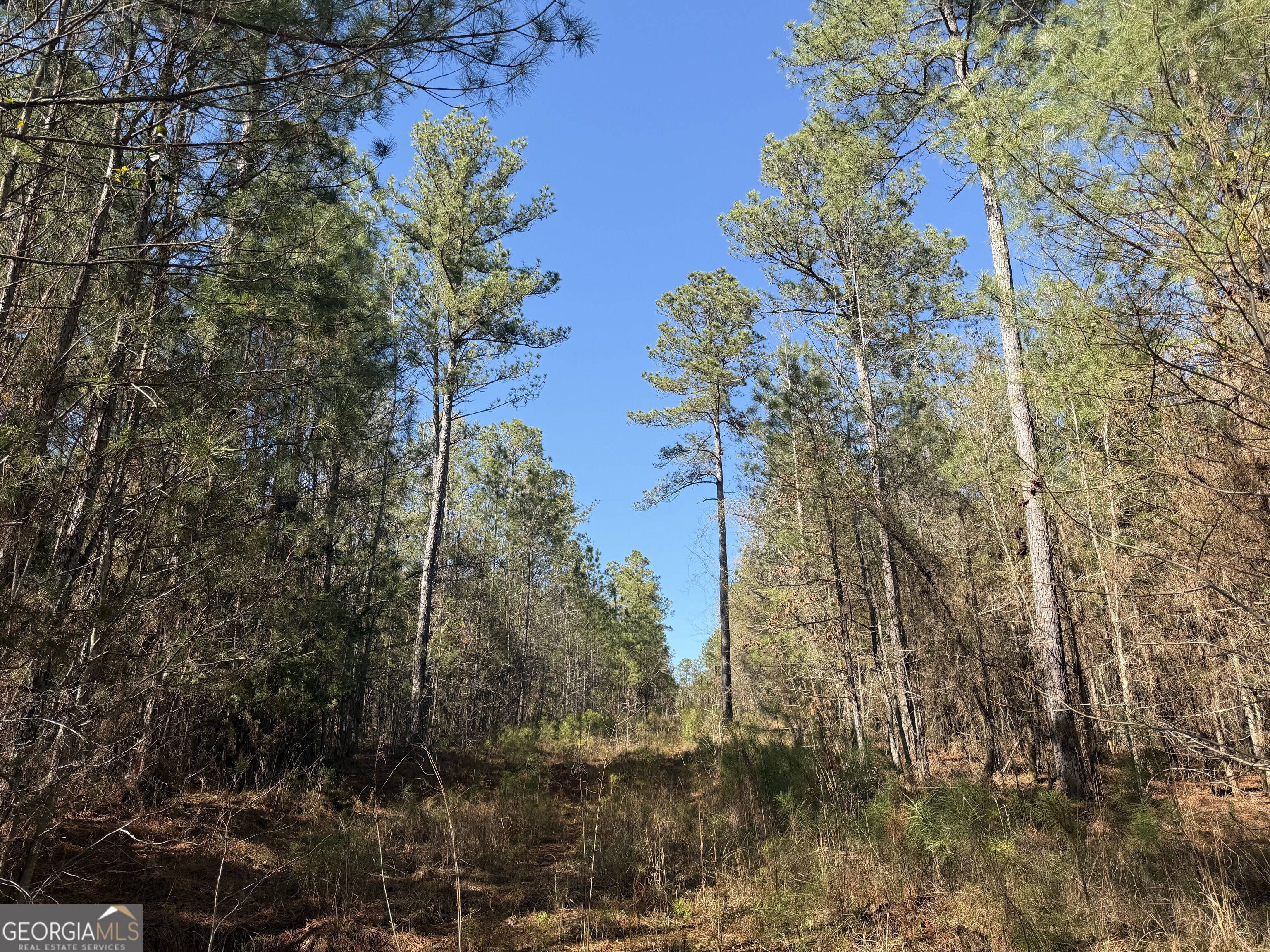 00 John Rucker Road