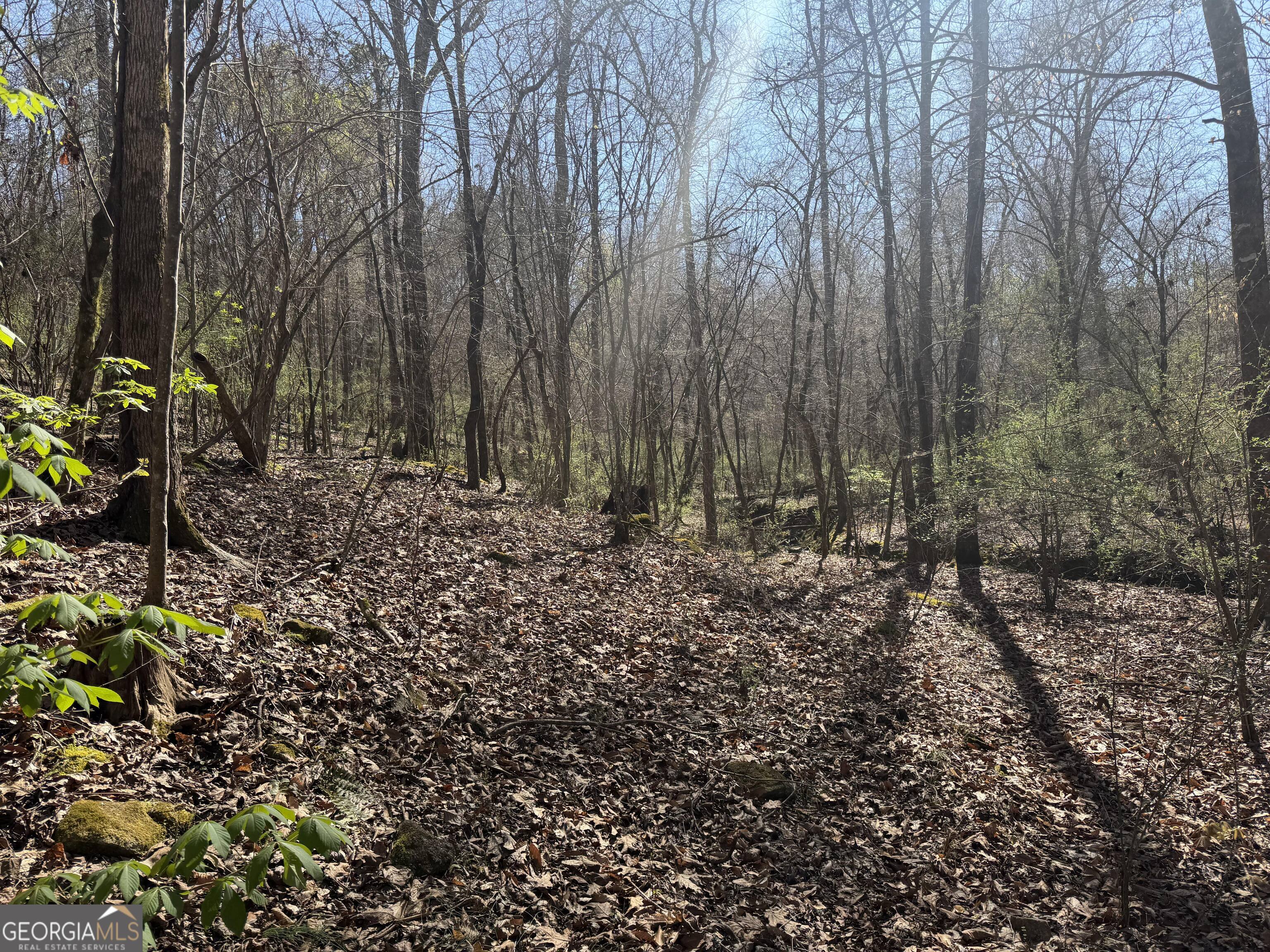 00 John Rucker Road