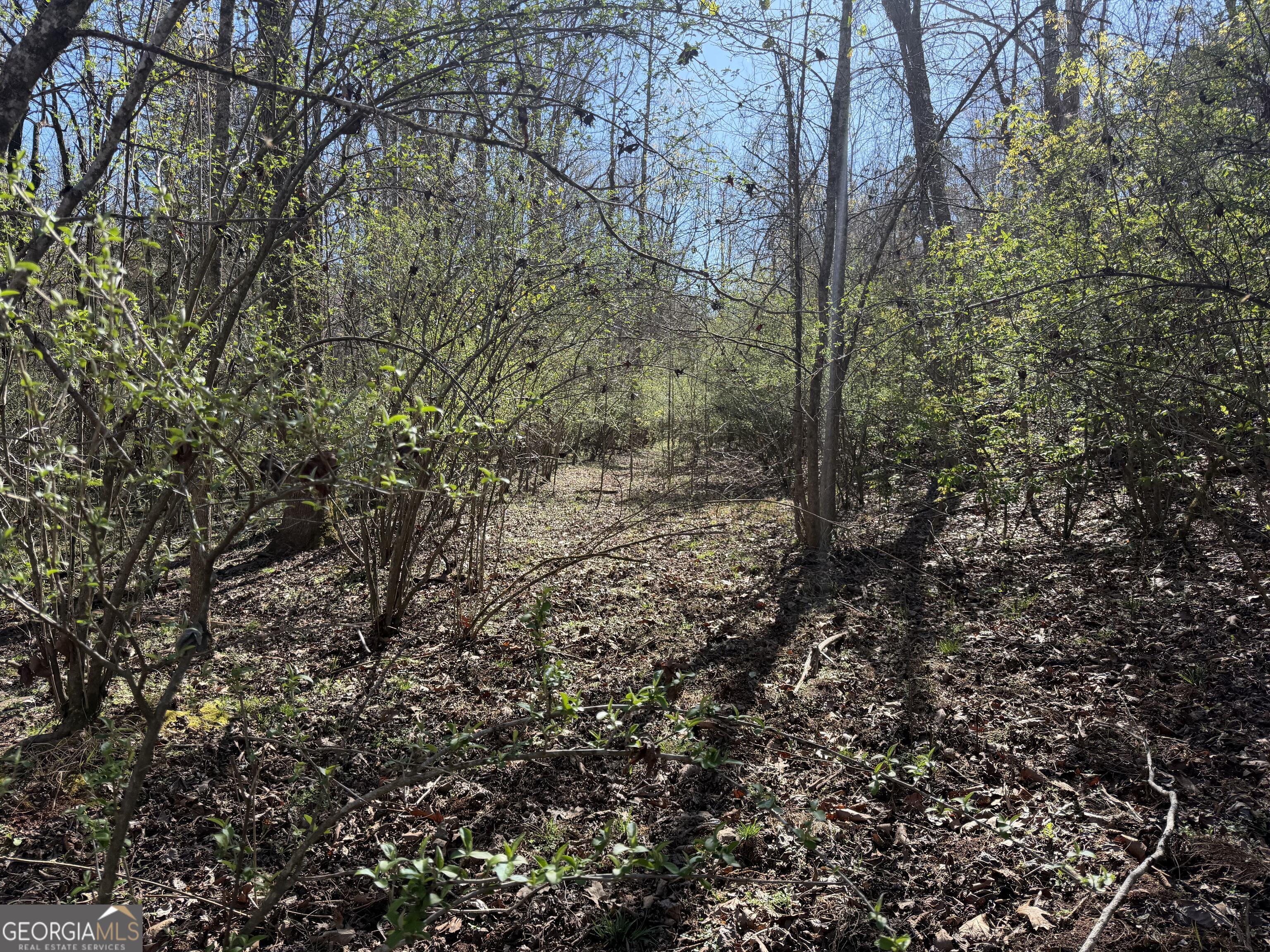 00 John Rucker Road