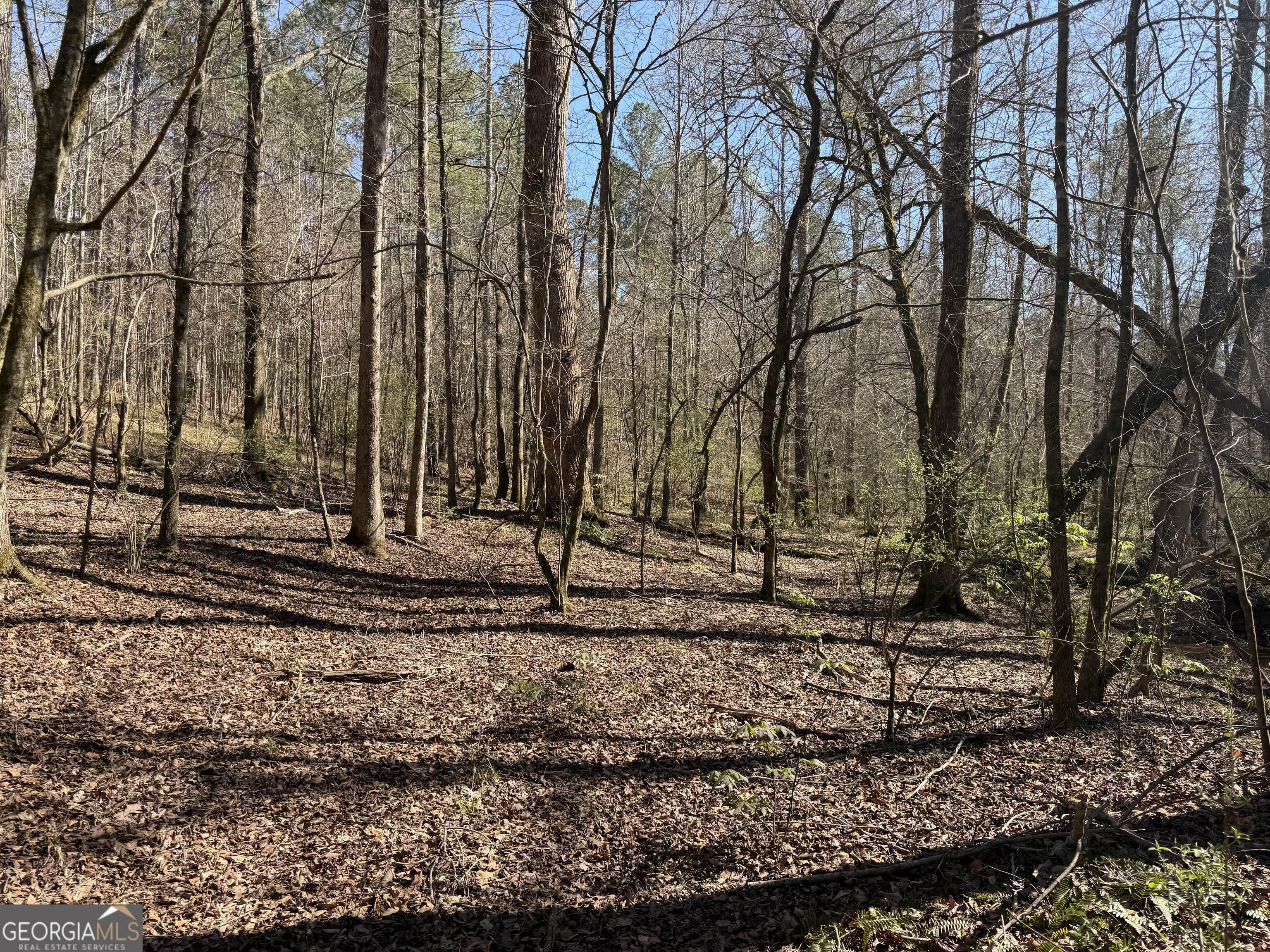 00 John Rucker Road