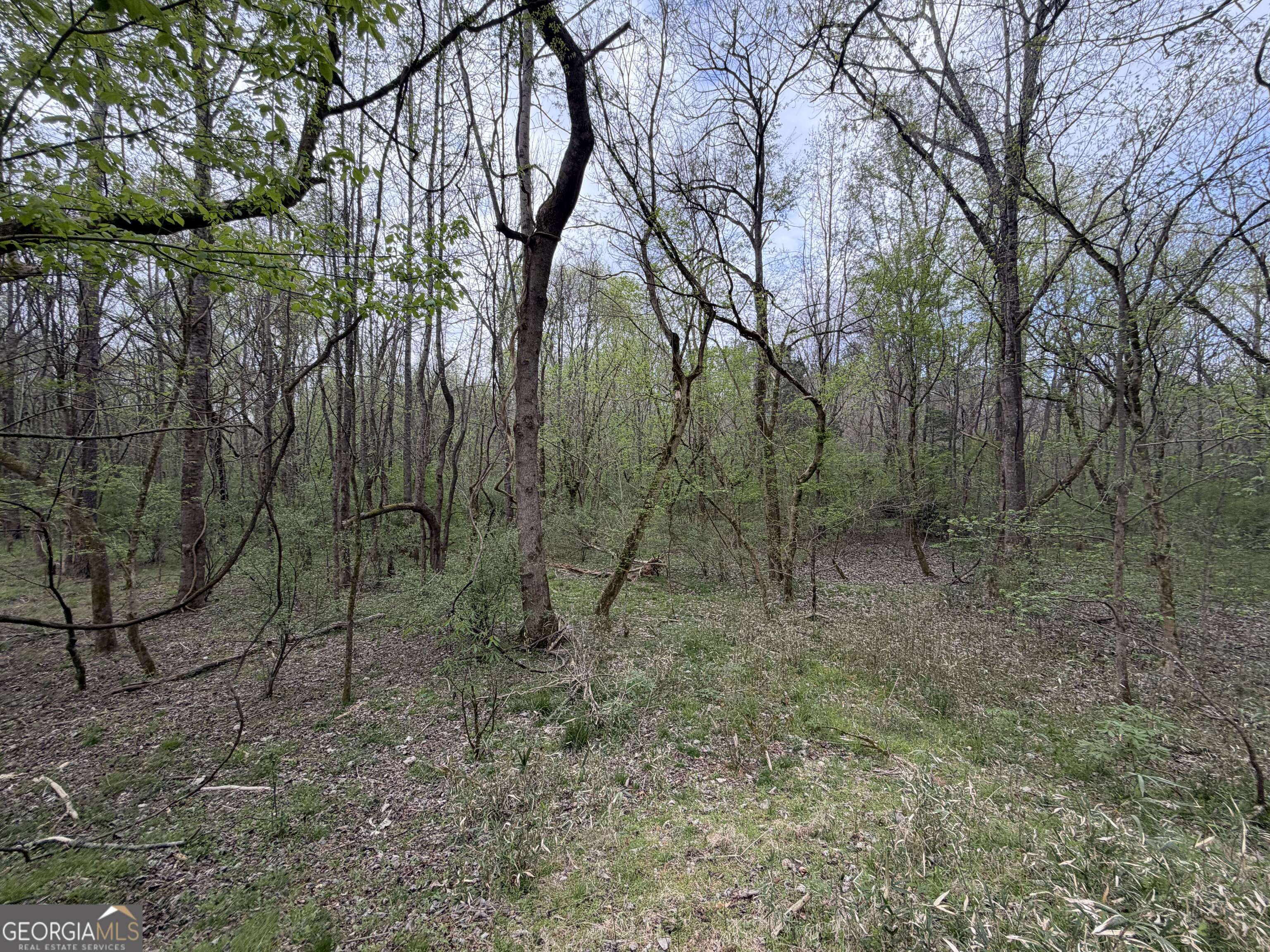 00 John Rucker Road