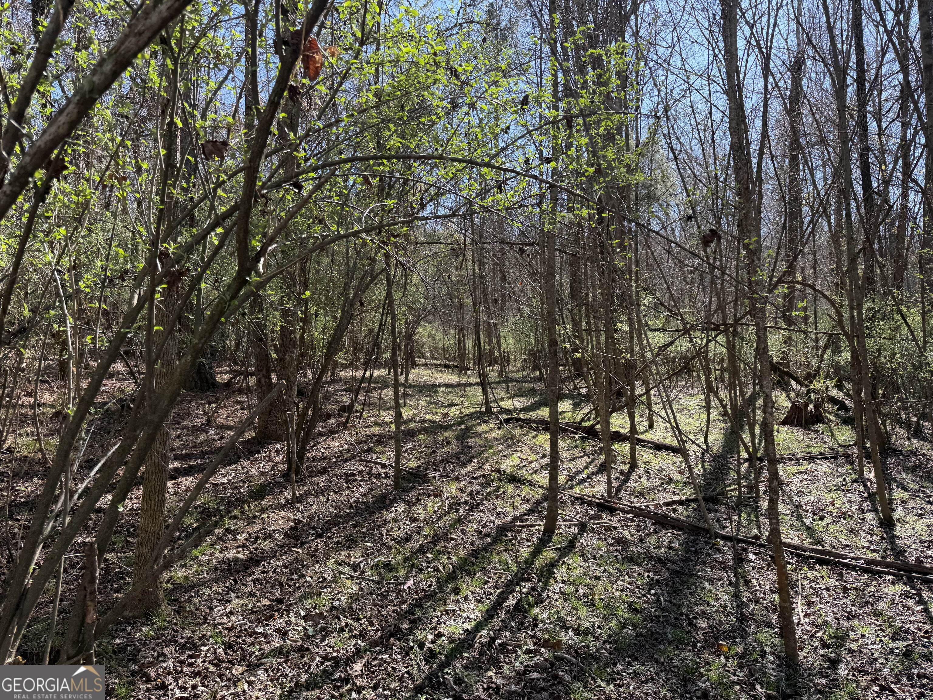 00 John Rucker Road