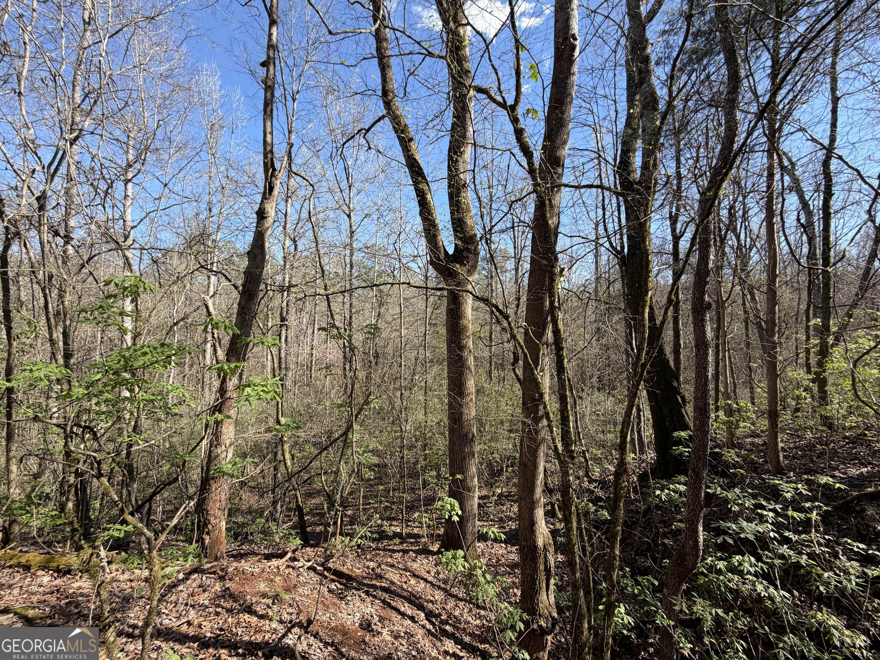 00 John Rucker Road