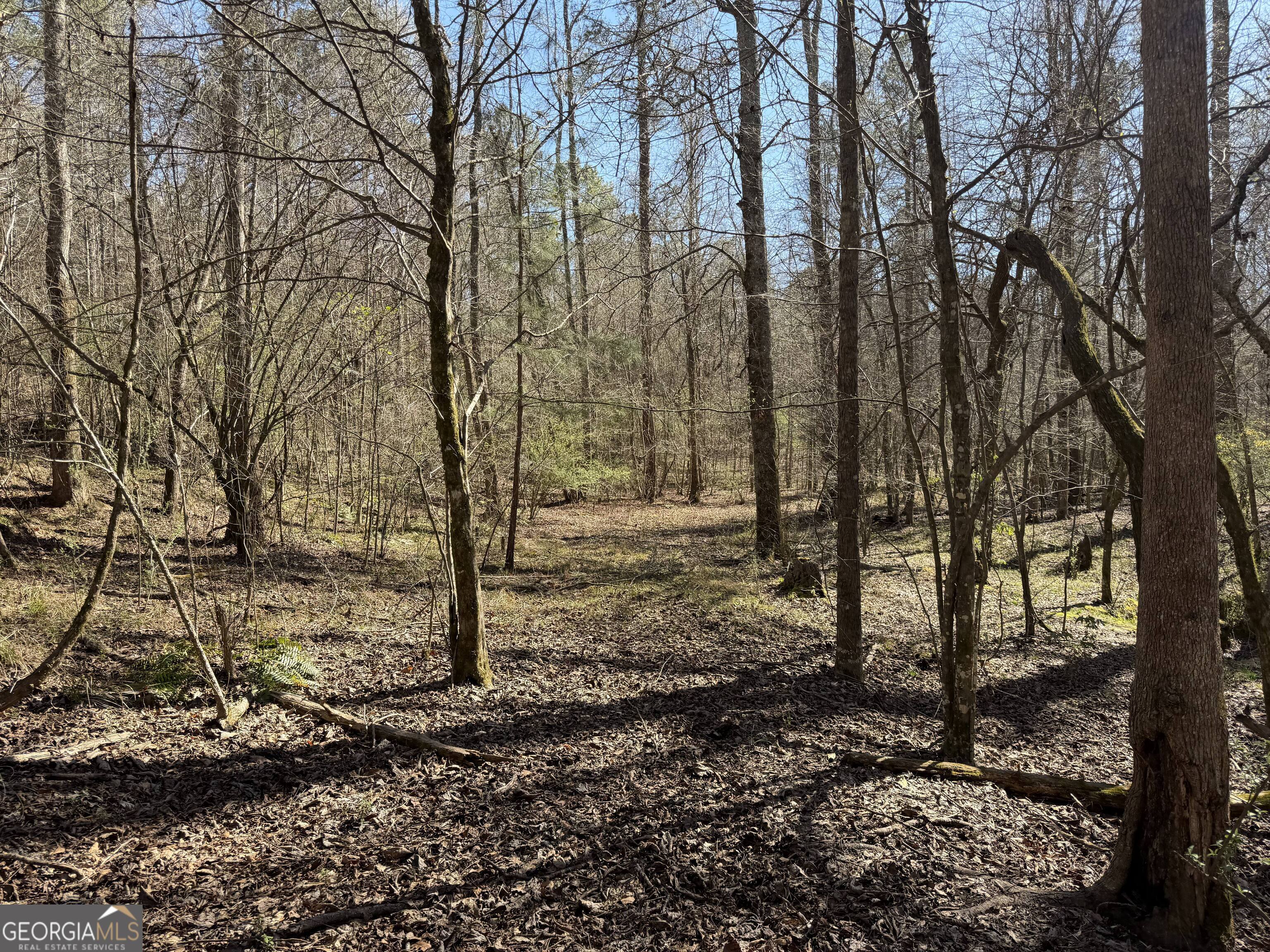 00 John Rucker Road