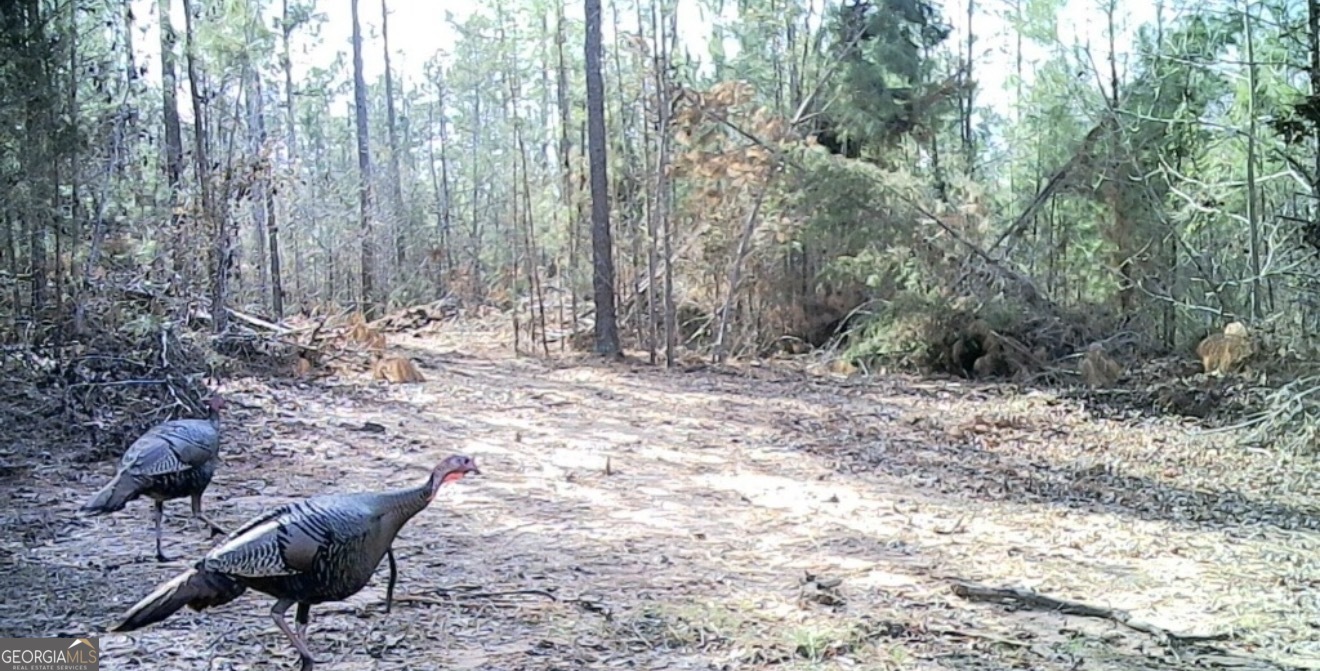 00 John Rucker Road