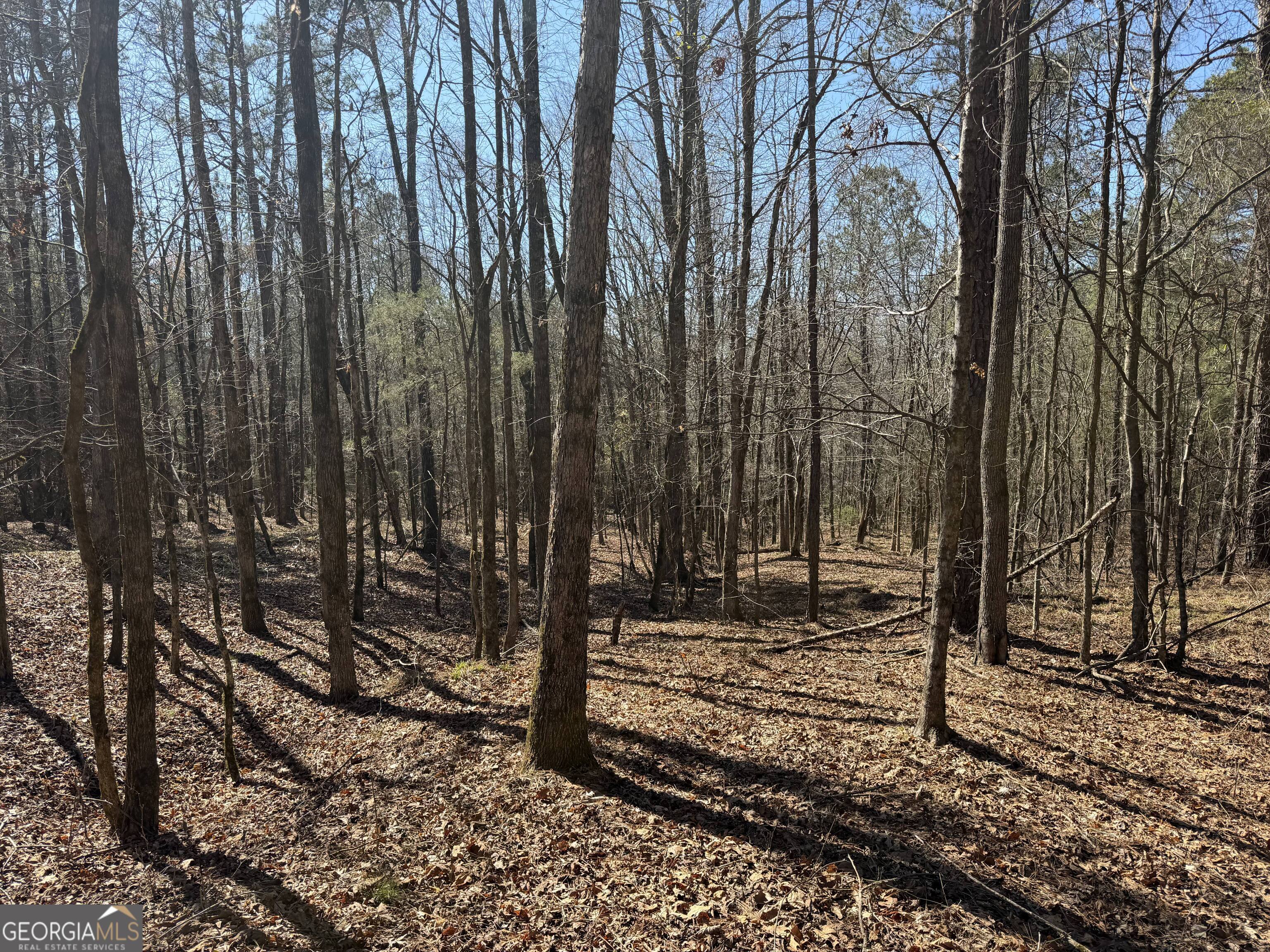 00 John Rucker Road