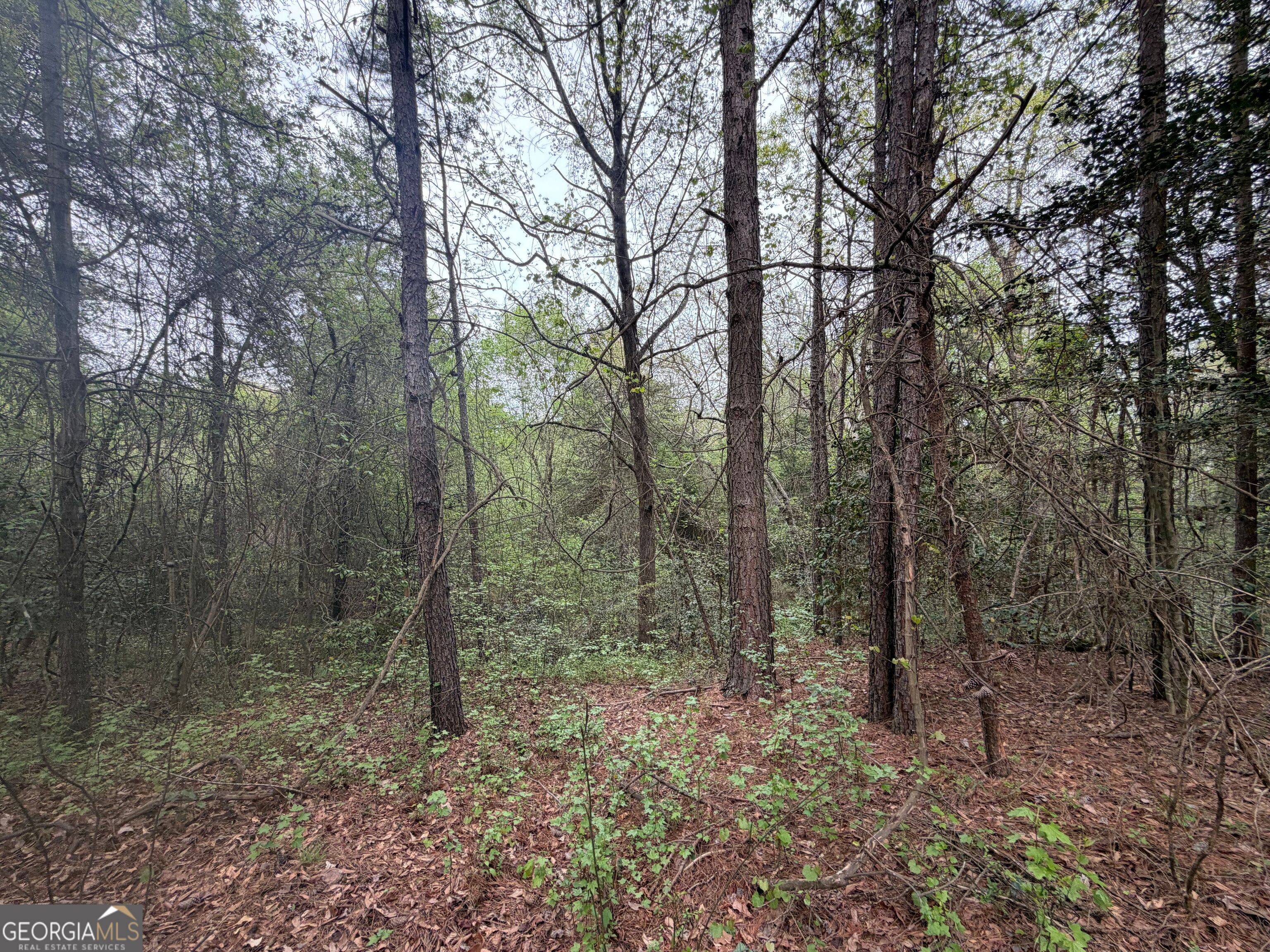 0 N County Line Road