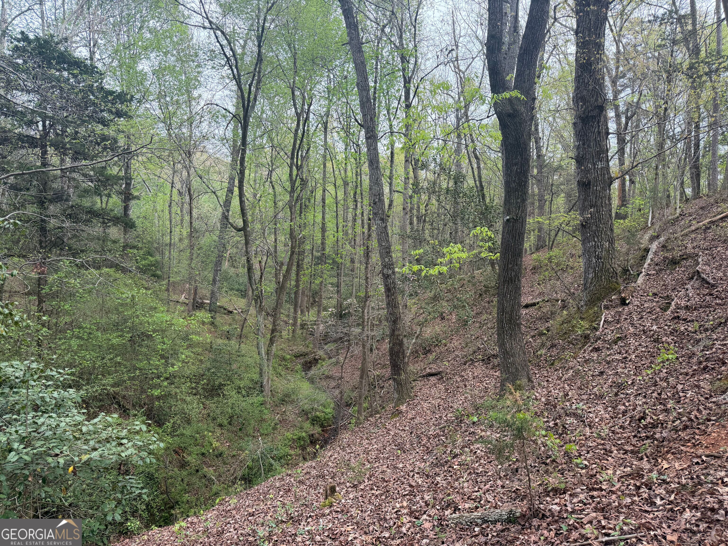 0 N County Line Road